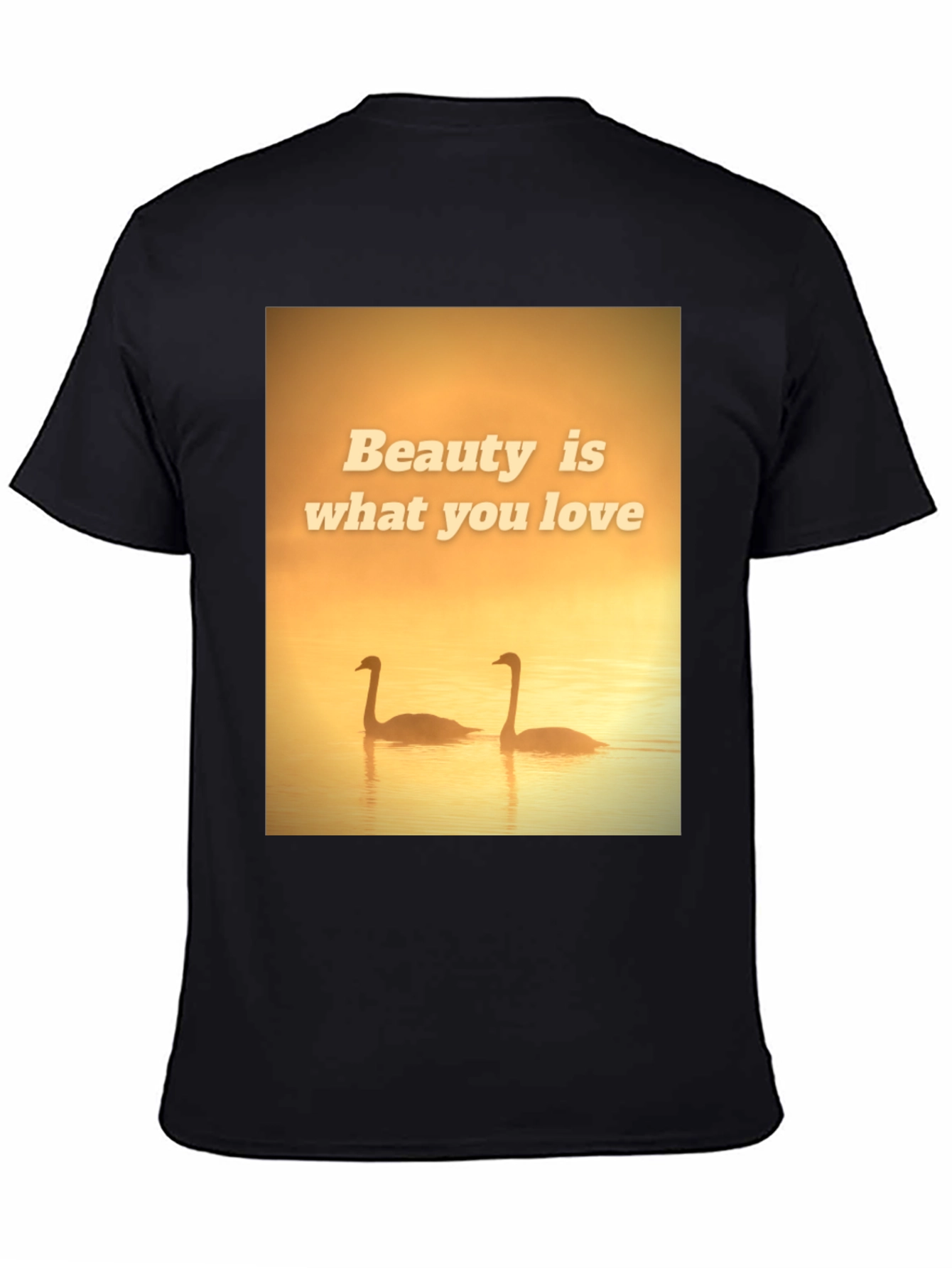 Black Beauty Swans Graphic T-Shirt view 4