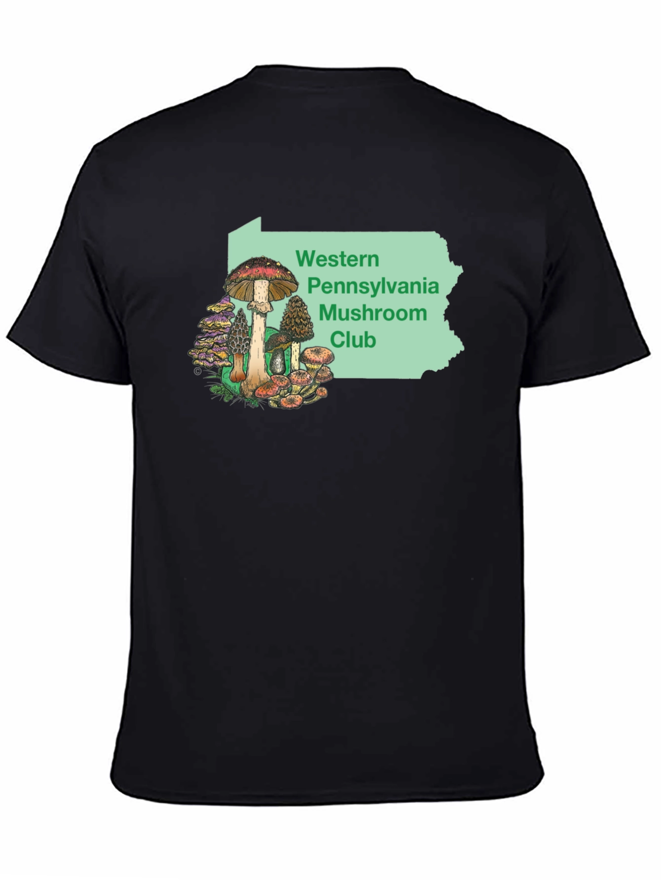 Black Western PA Mushroom Club T-Shirt view 4