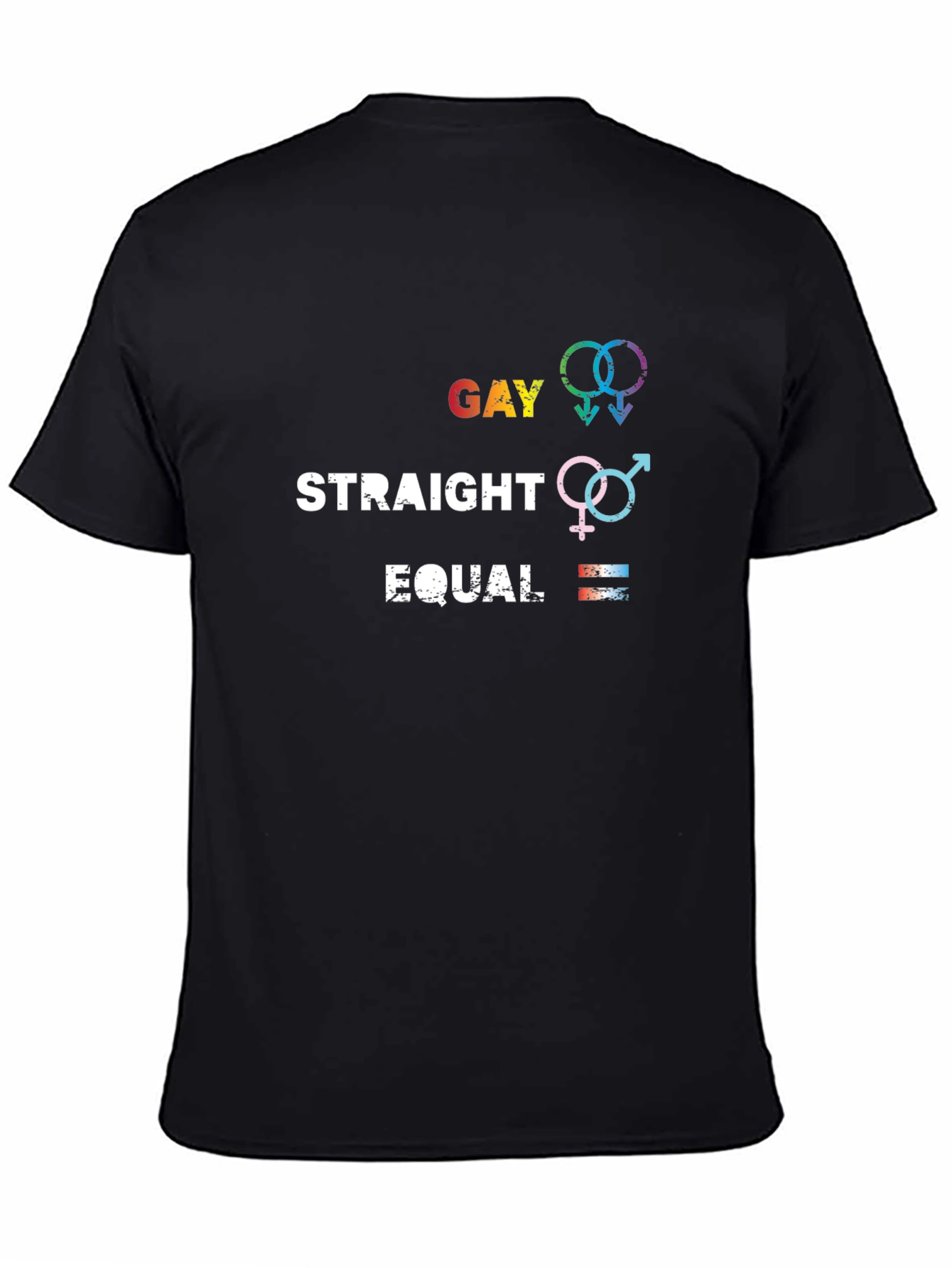 Gay Straight Equal Graphic Tee - Pride Equality T-Shirt - 4