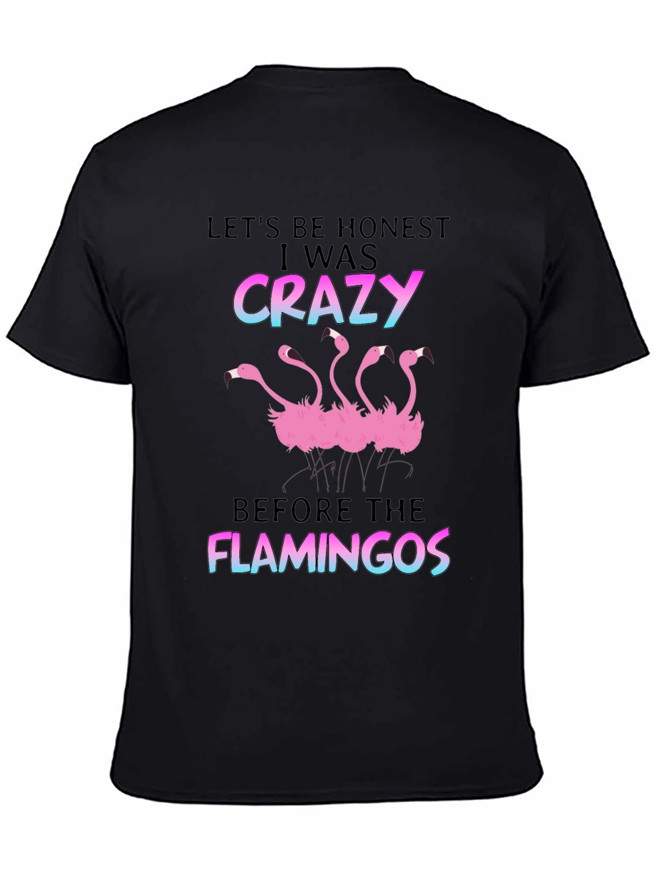 Black Crazy Before Flamingos T-Shirt - Black view 4
