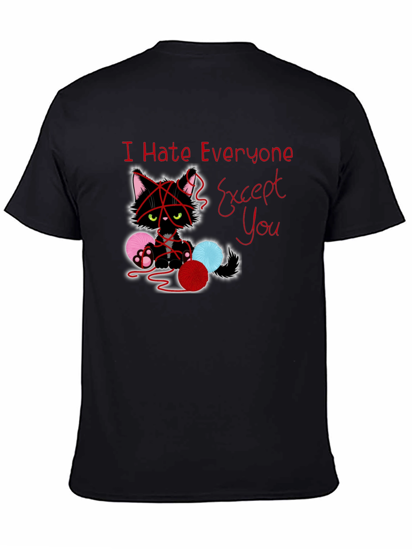 Black I Hate Everyone Except You Cat T-Shirt view 4