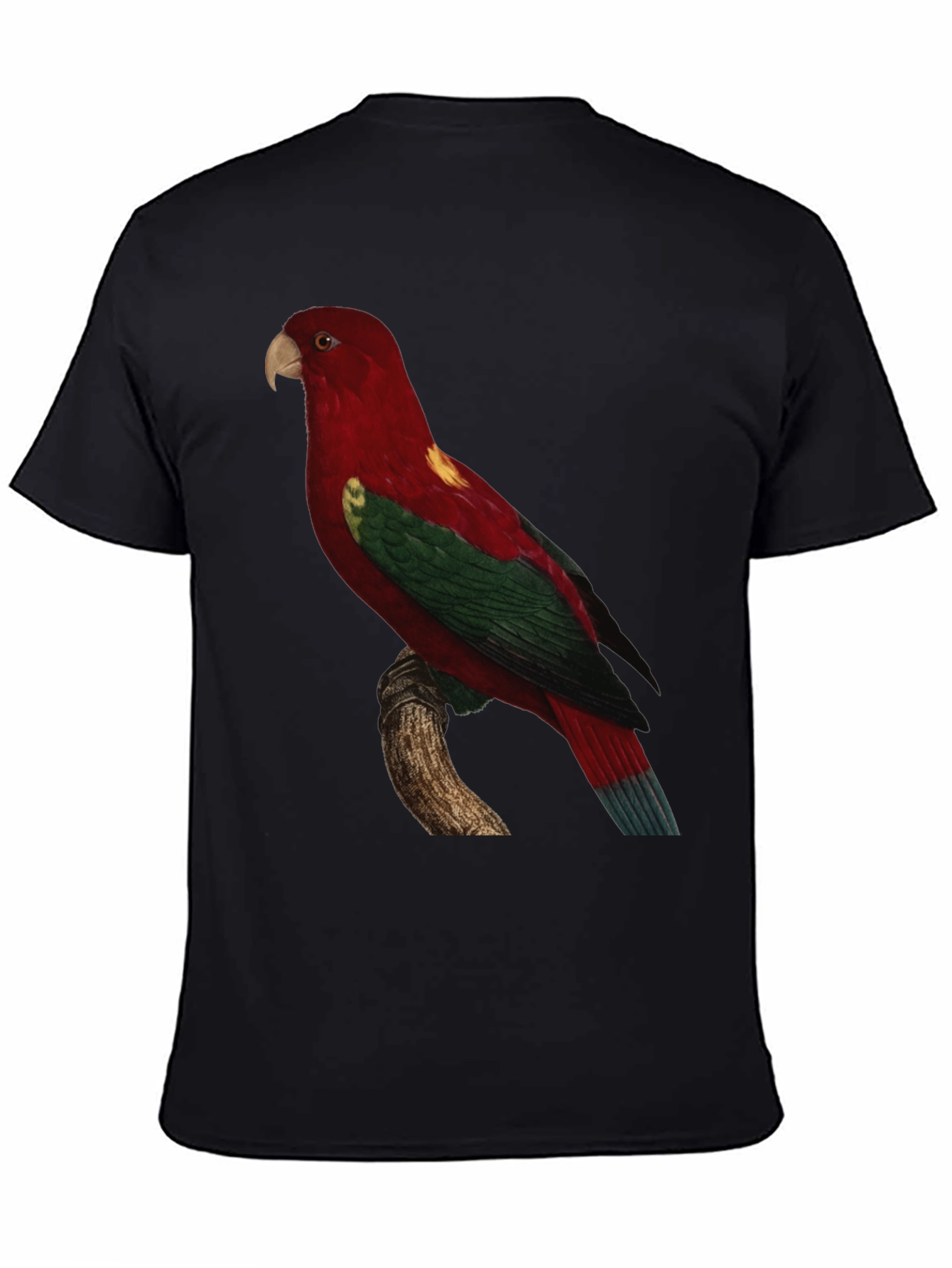 Black Parrot Print Crewneck T-Shirt view 4