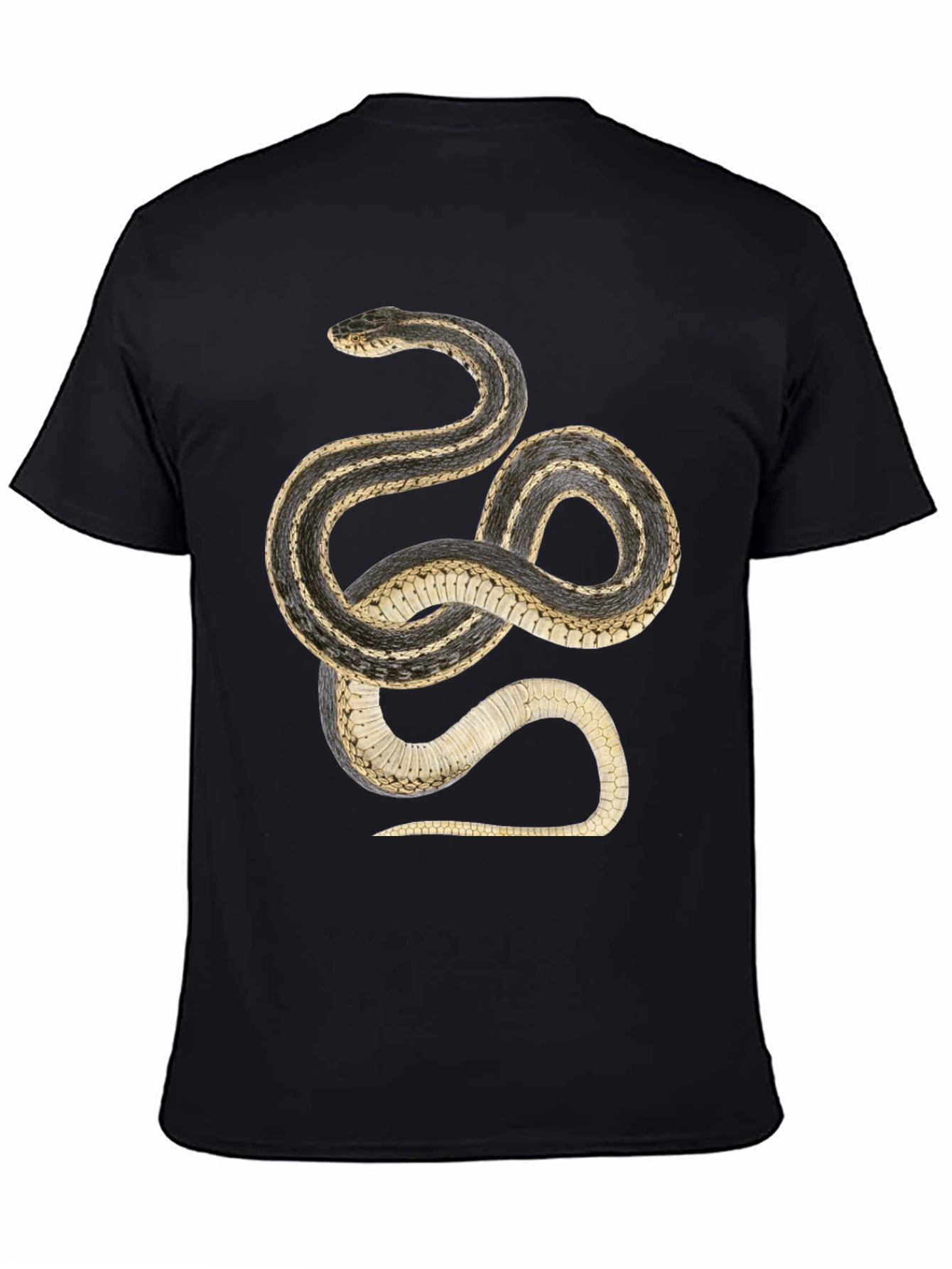 Black Snake Graphic T-Shirt - Black Cotton Tee view 4