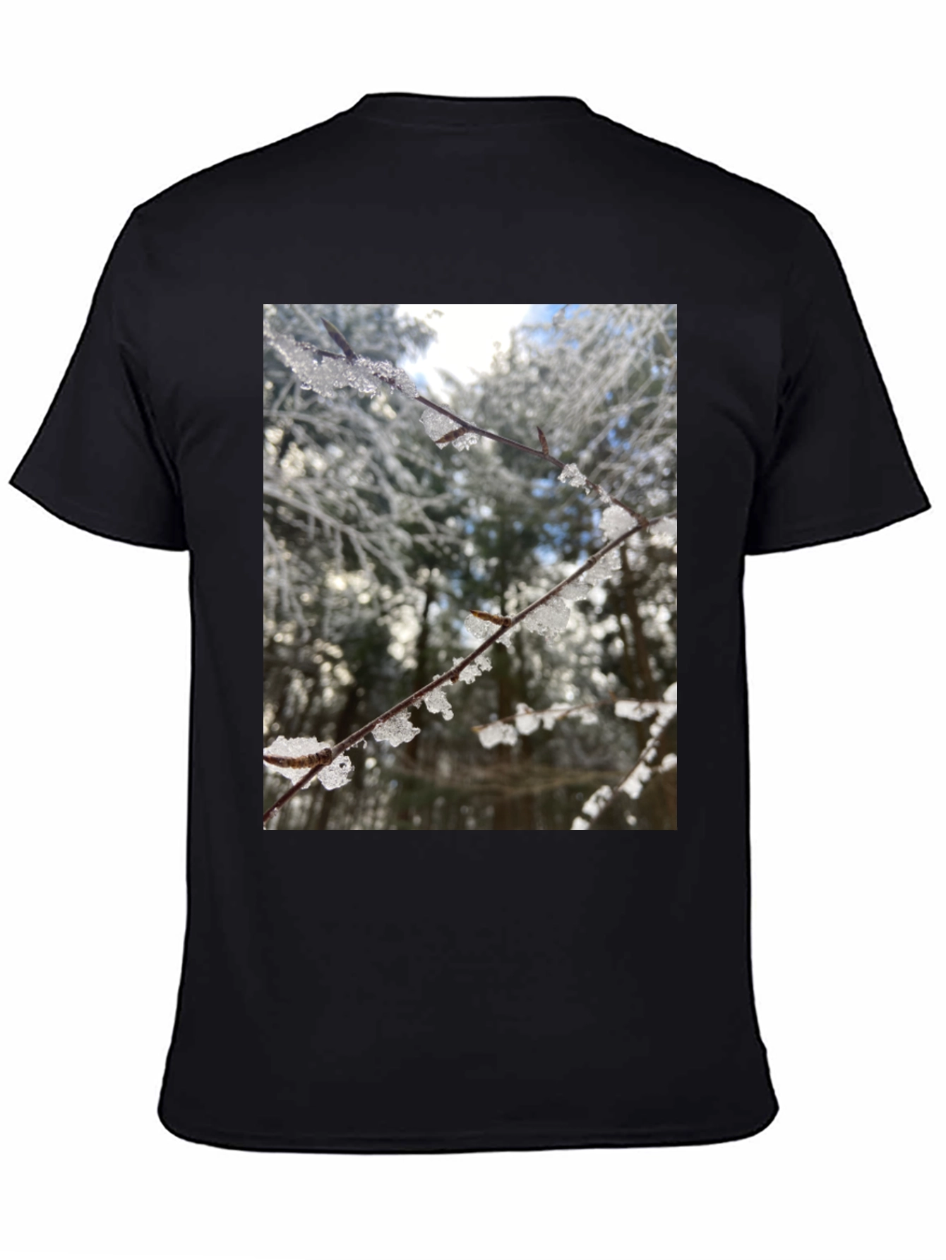 Black Winter Branch Graphic Tee - Nature Inspired Design view 4