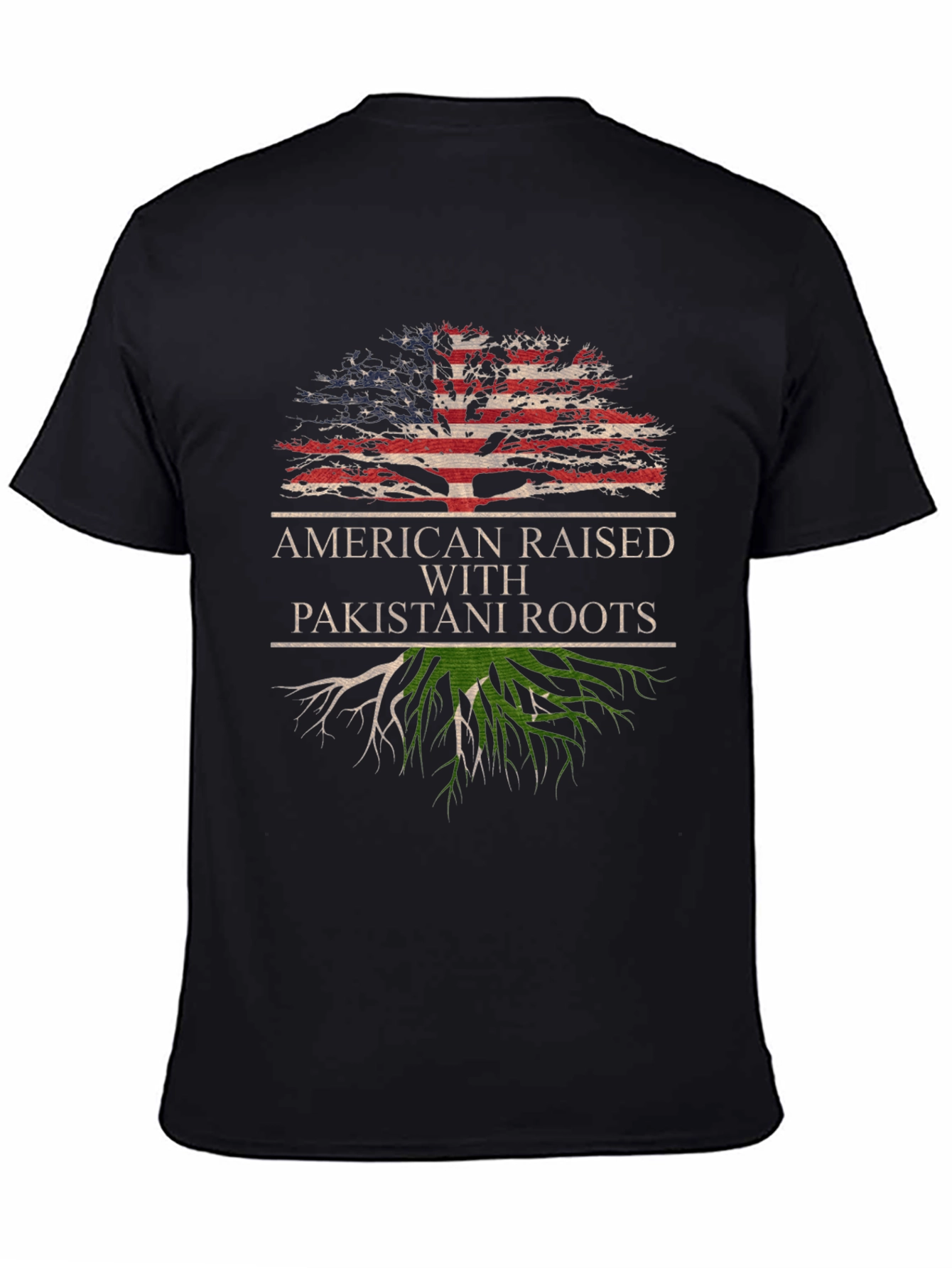 American Raised with Pakistani Roots T-Shirt - 4