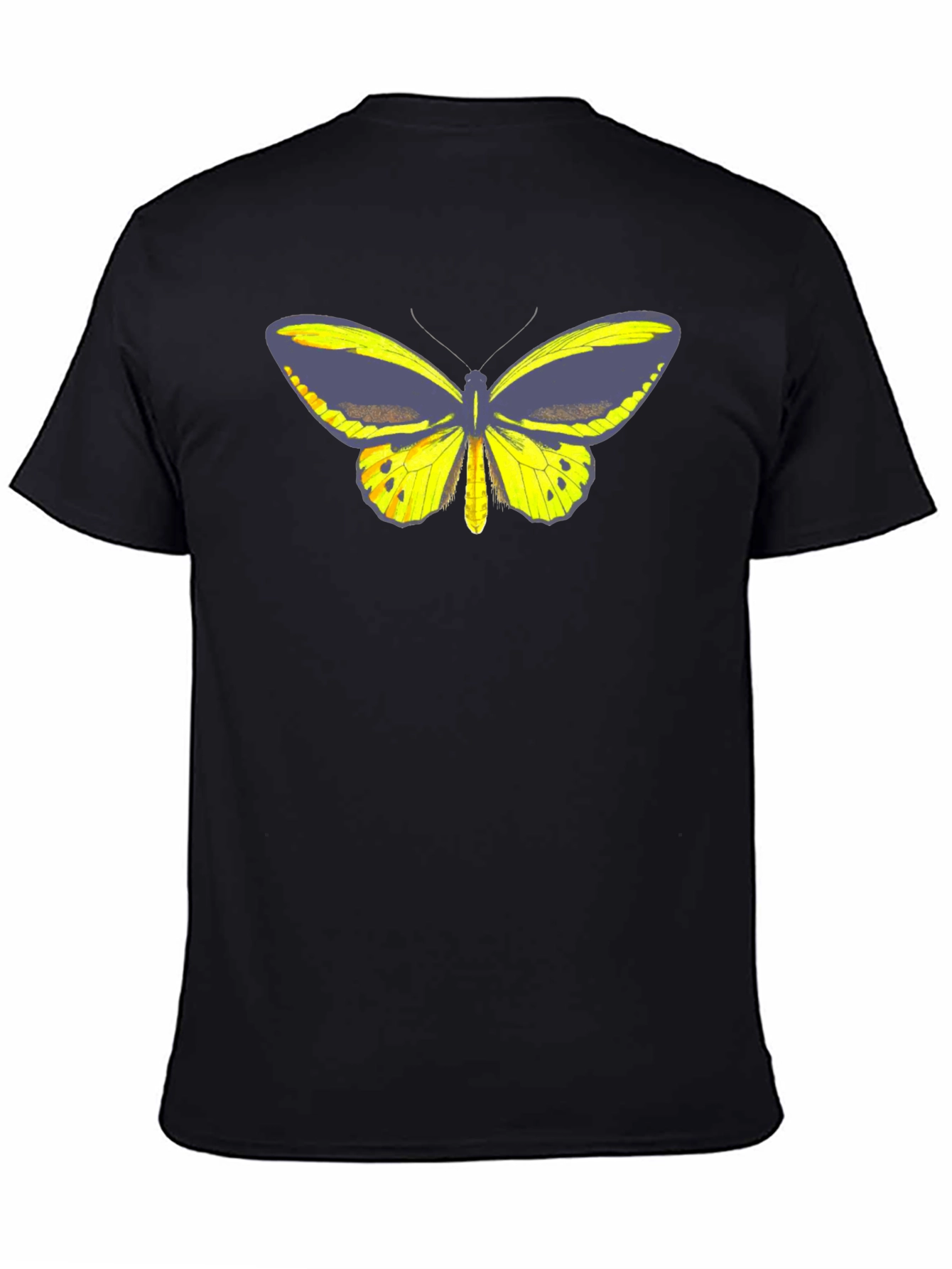 Black Butterfly Graphic Tee - Black Cotton Casual T-Shirt view 4