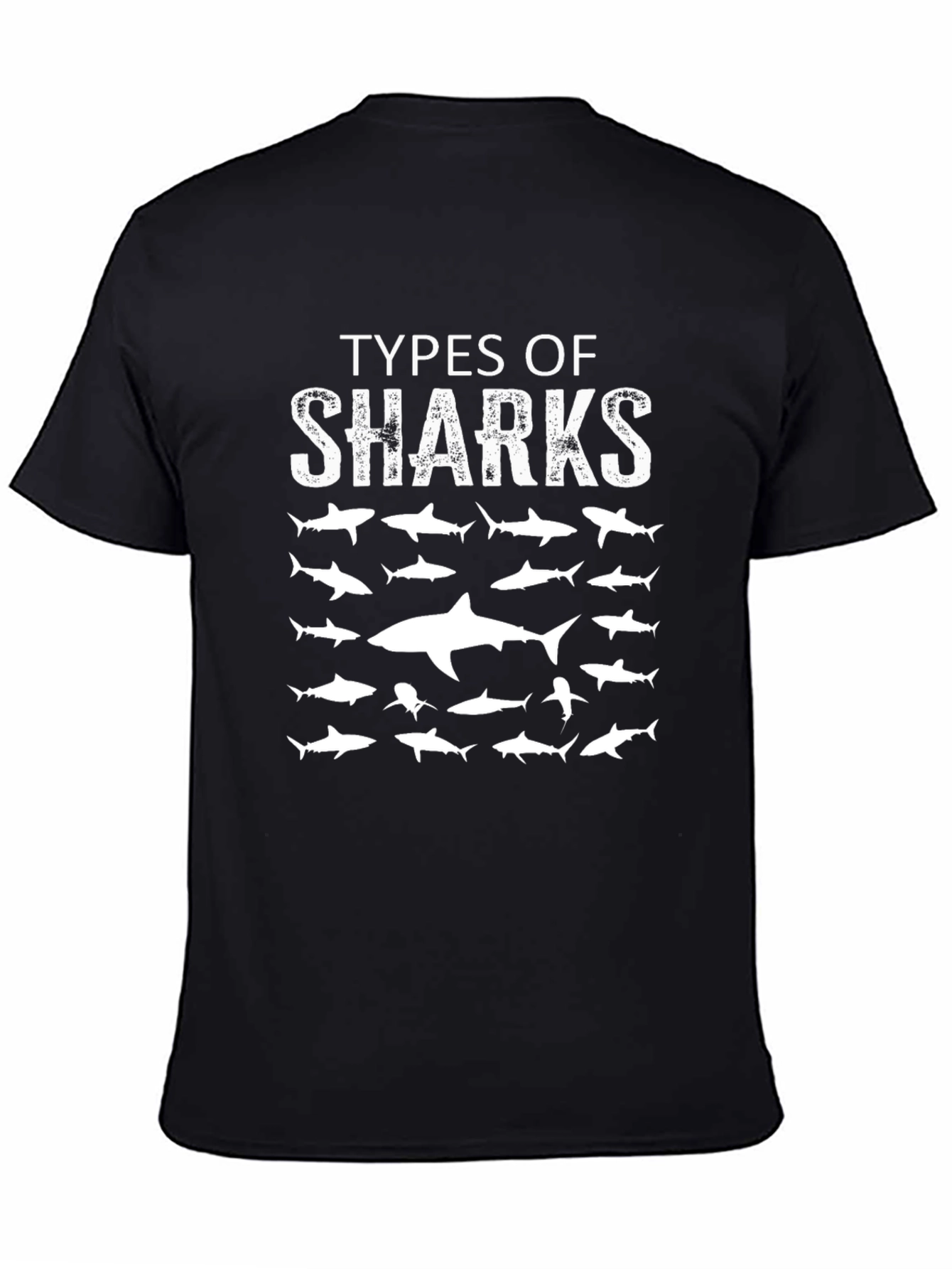 Black Types of Sharks Graphic Print Crew Neck T-Shirt view 4