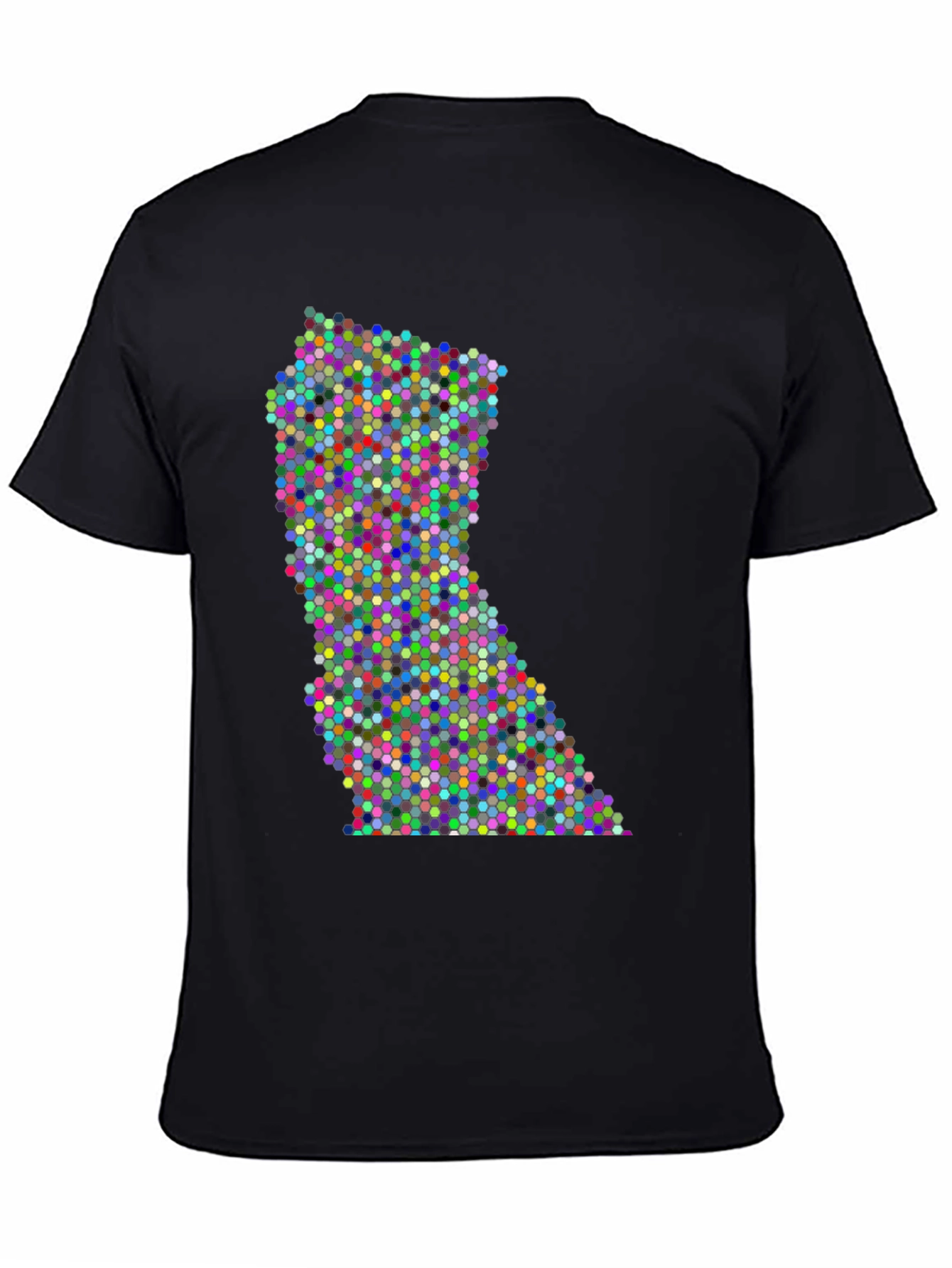 Black Colorful Dot Pattern State Graphic Tee view 4