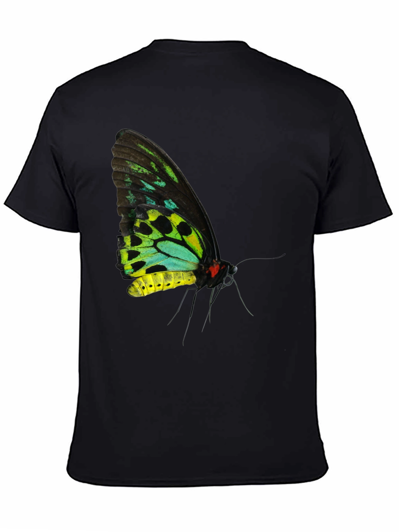 Black Butterfly Graphic Black T-Shirt view 4