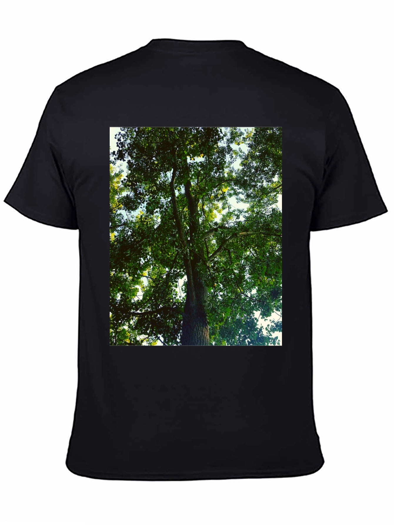 Black Nature Lover's Tree Print Black T-Shirt view 4