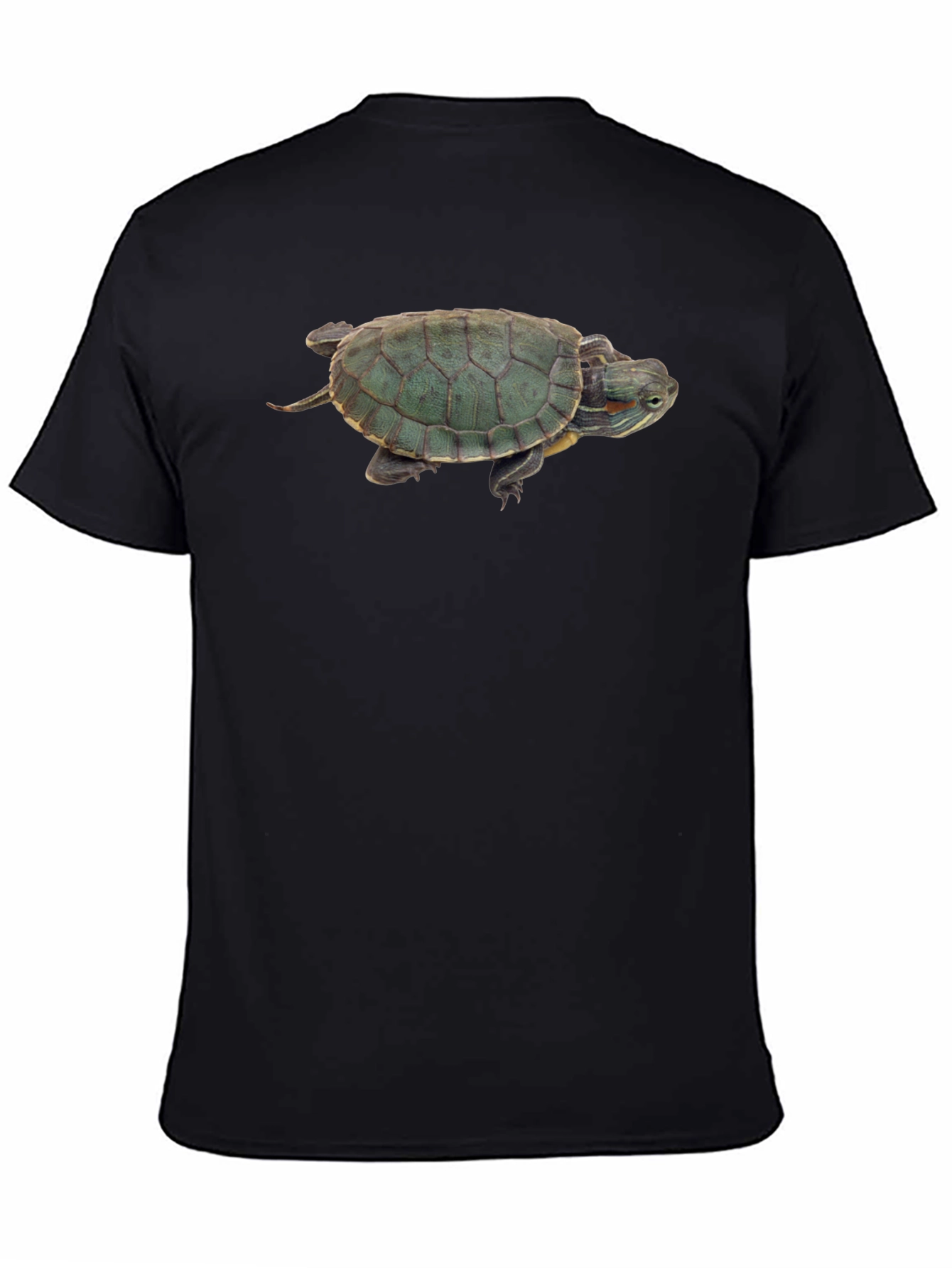 Black Turtle Graphic Black T-Shirt view 4