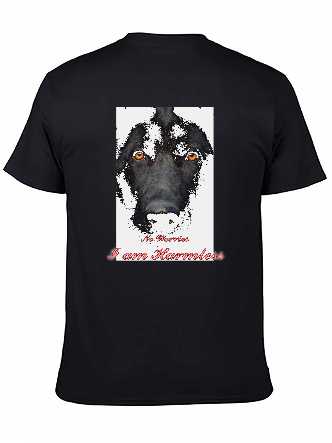 Black Harmless Dog Graphic T-Shirt view 4