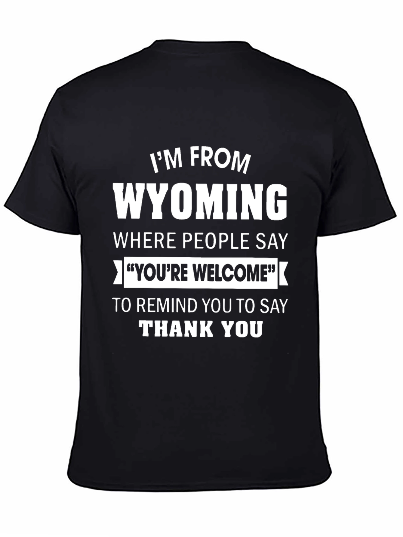 Black Wyoming "You're Welcome" Graphic Tee view 4
