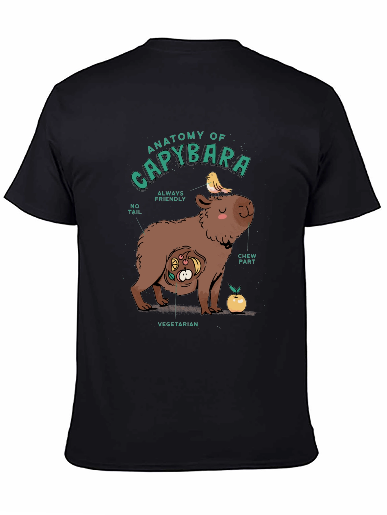Black Anatomy of a Capybara Graphic T-Shirt view 4