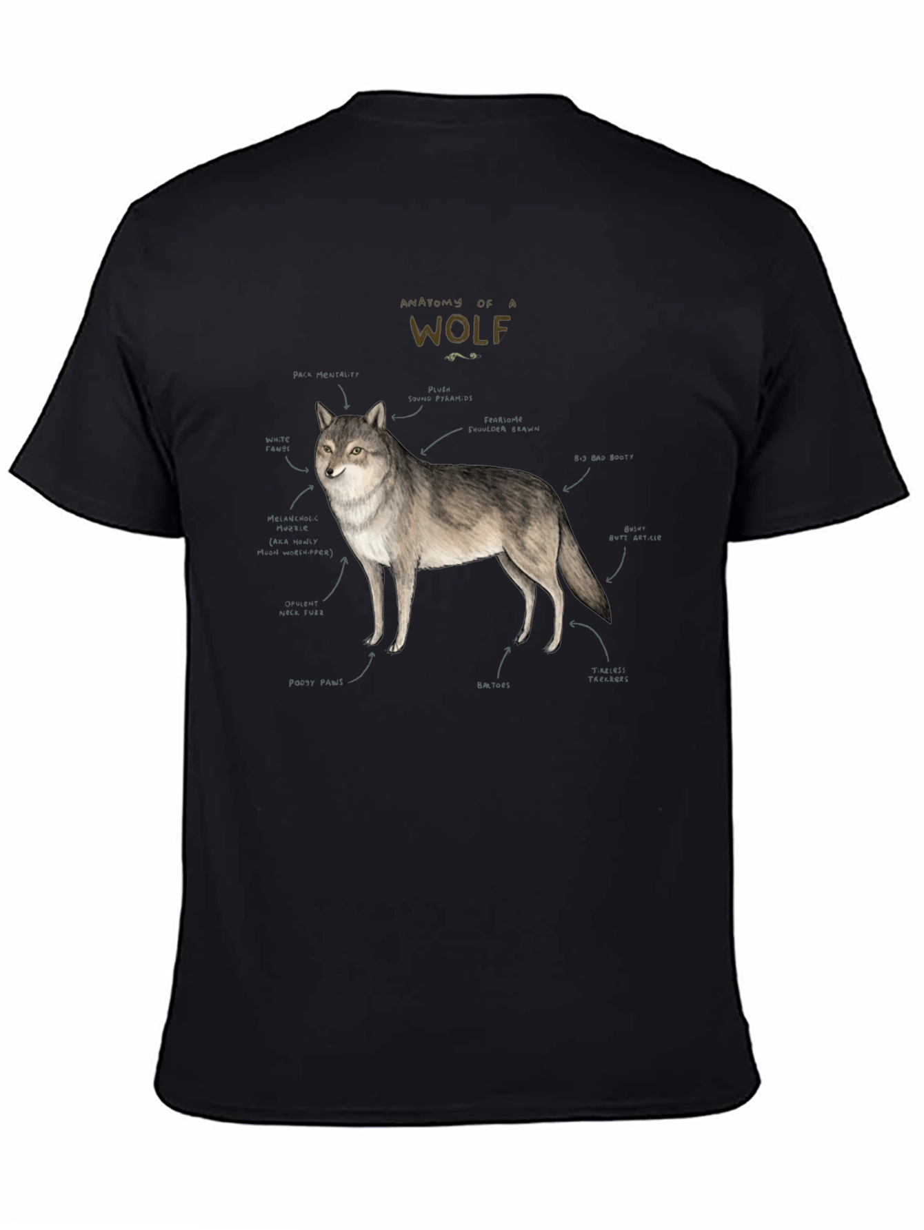 Black Anatomy of a Wolf Graphic T-Shirt view 4