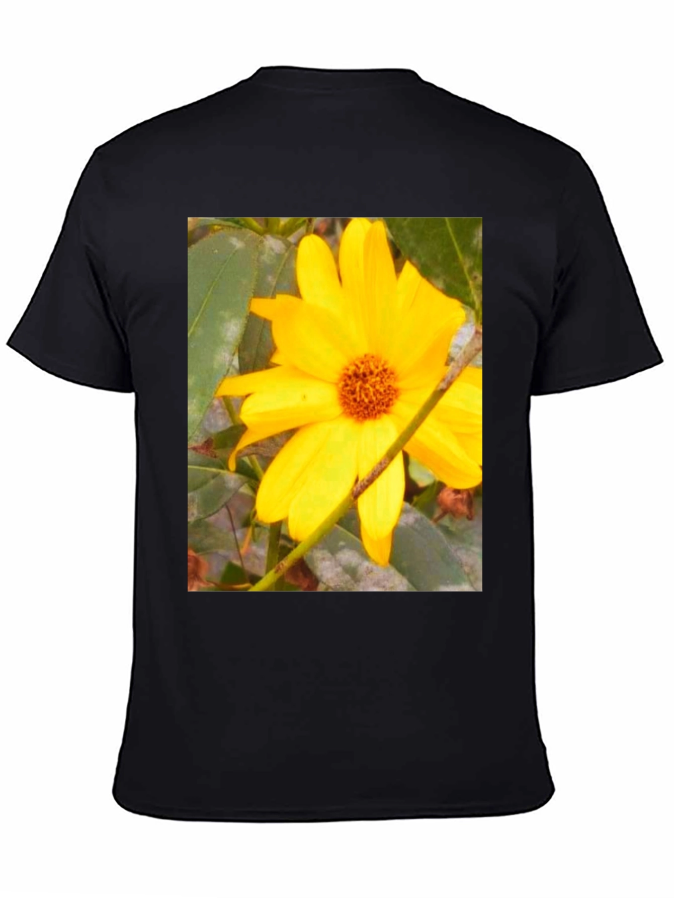 Black Sunflower Print Black T-Shirt view 4