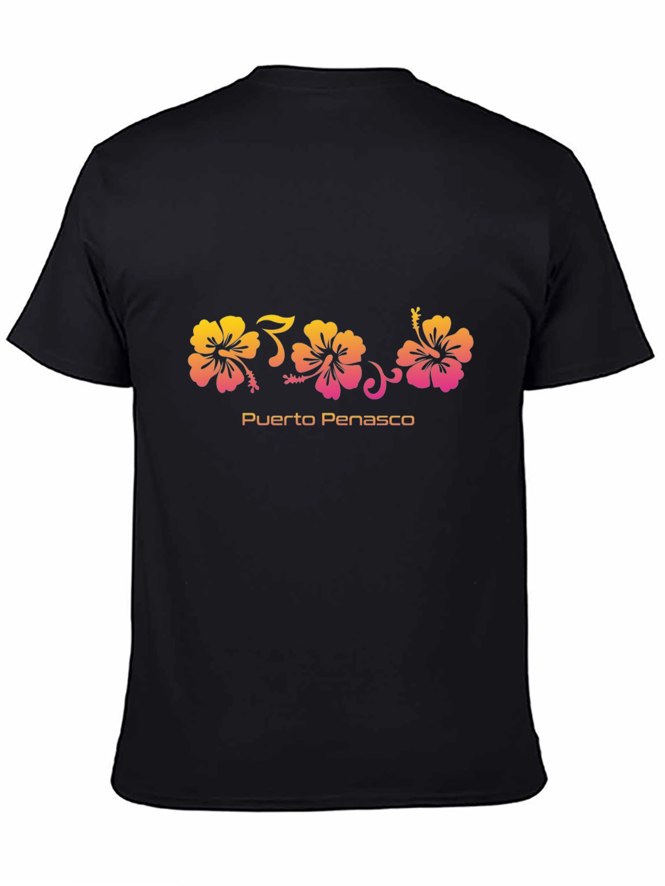 Black Puerto Penasco Hibiscus Flower Graphic Tee view 4