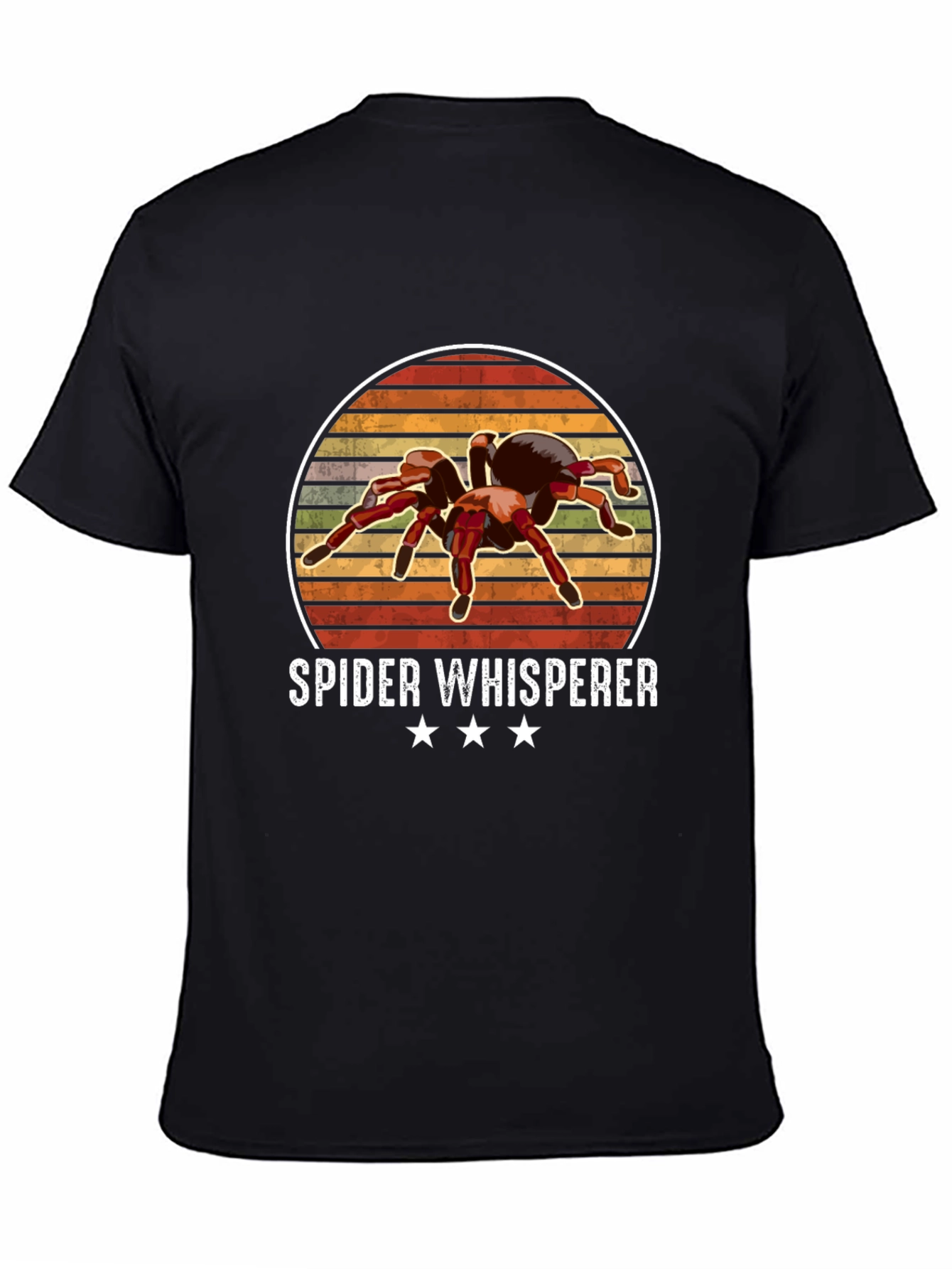Black Spider Whisperer Graphic Tee view 4
