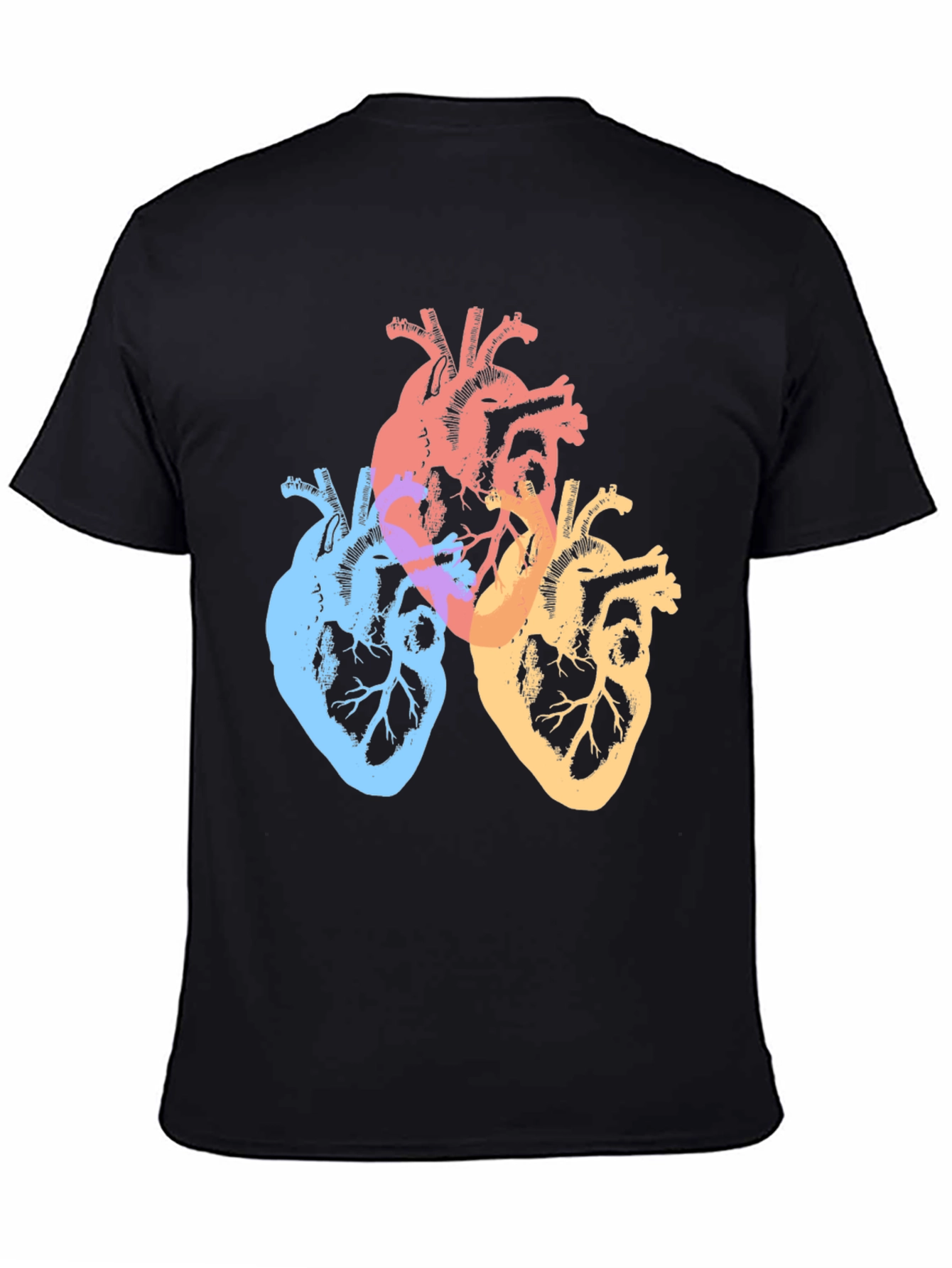 Black Colorful Anatomical Hearts Graphic Tee - Black view 4
