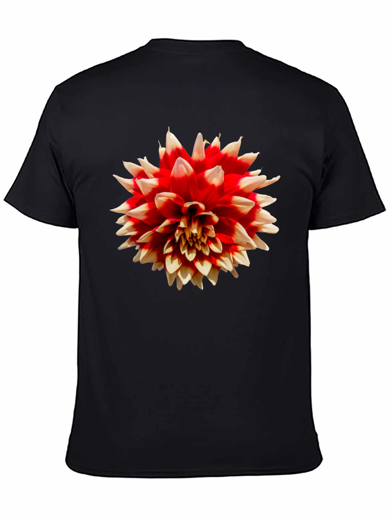 Black Floral Print Black T-Shirt - Casual Wear view 4