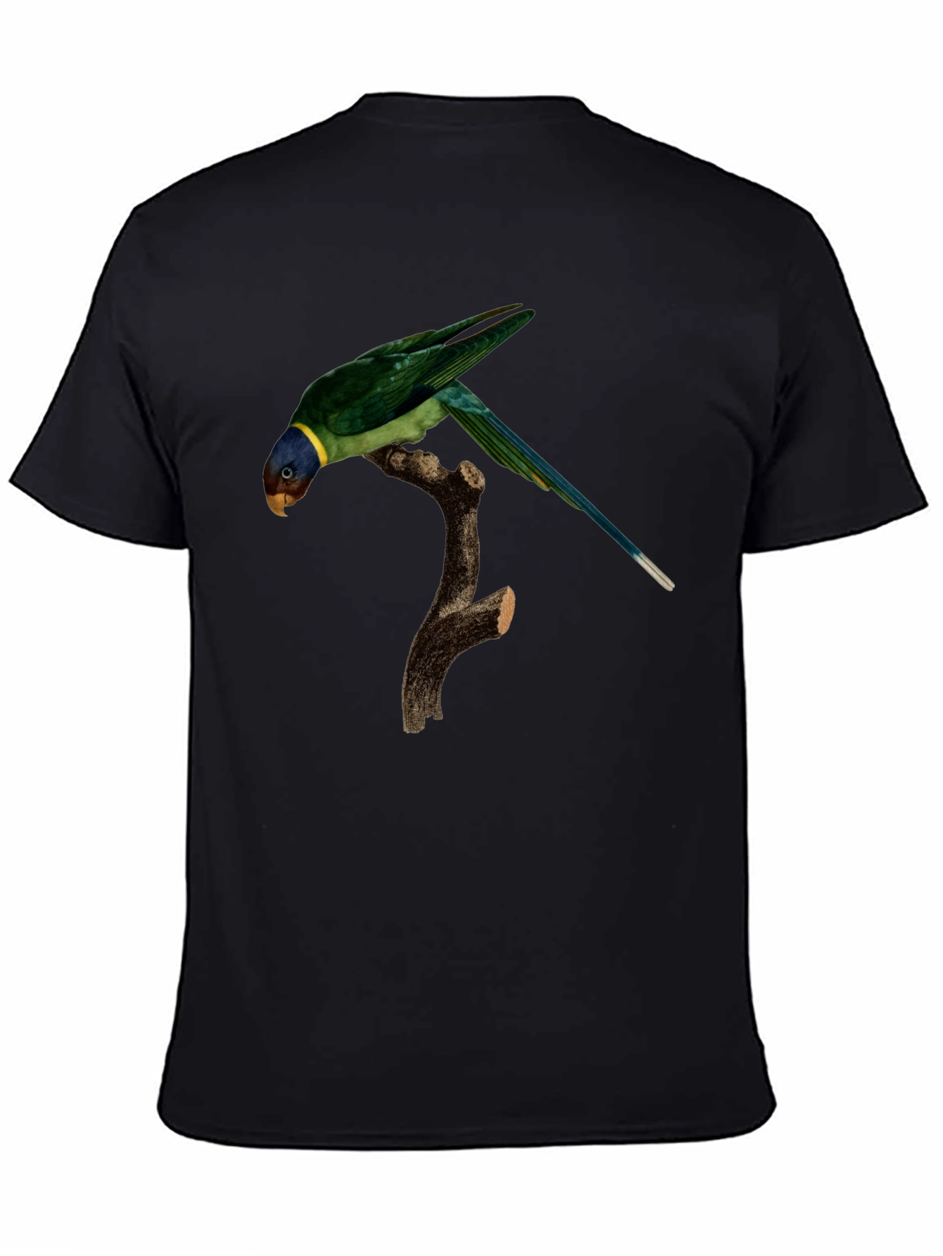 Parrot Graphic T-Shirt - Unique Bird Print - 4