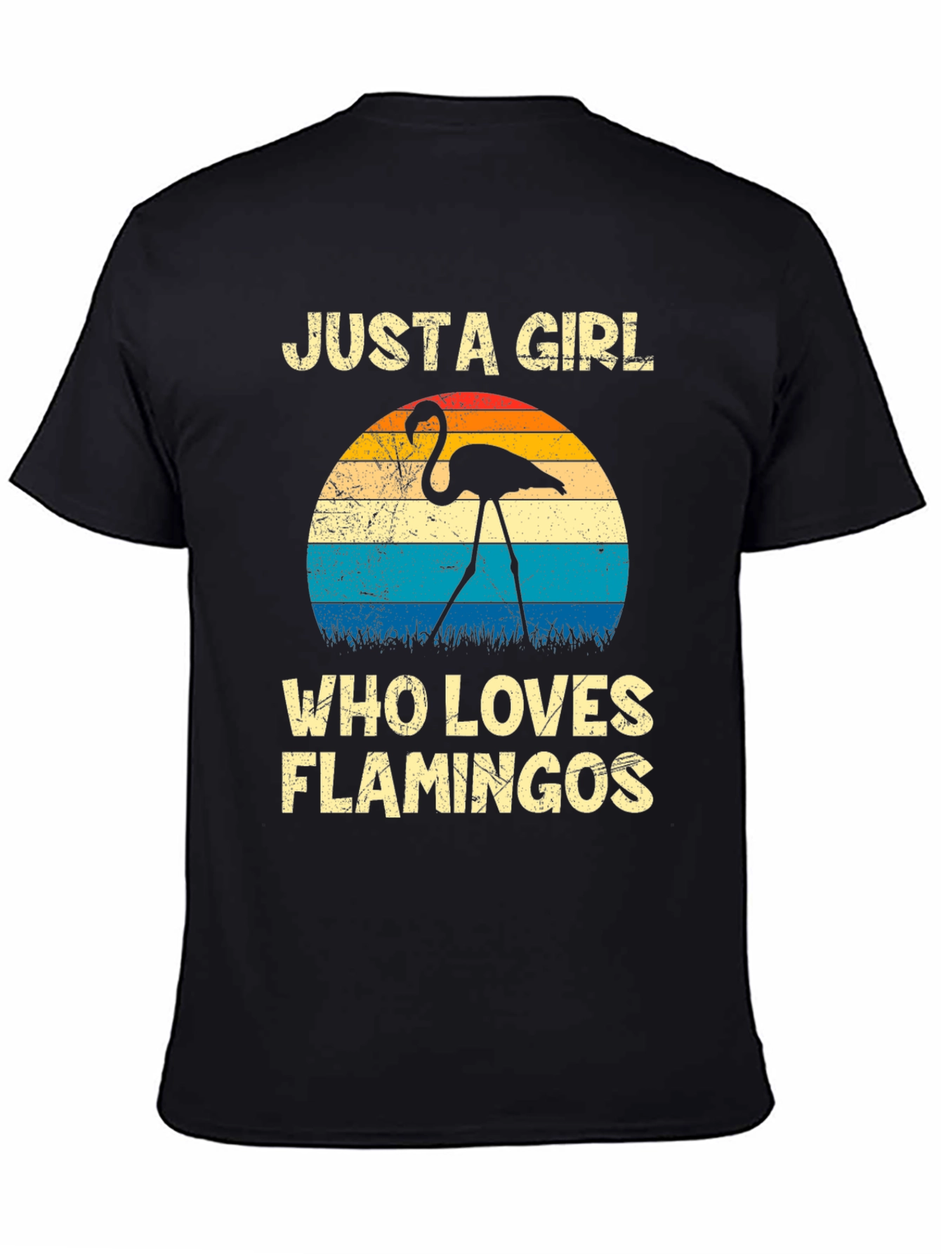 Black Just A Girl Who Loves Flamingos Graphic Tee view 4