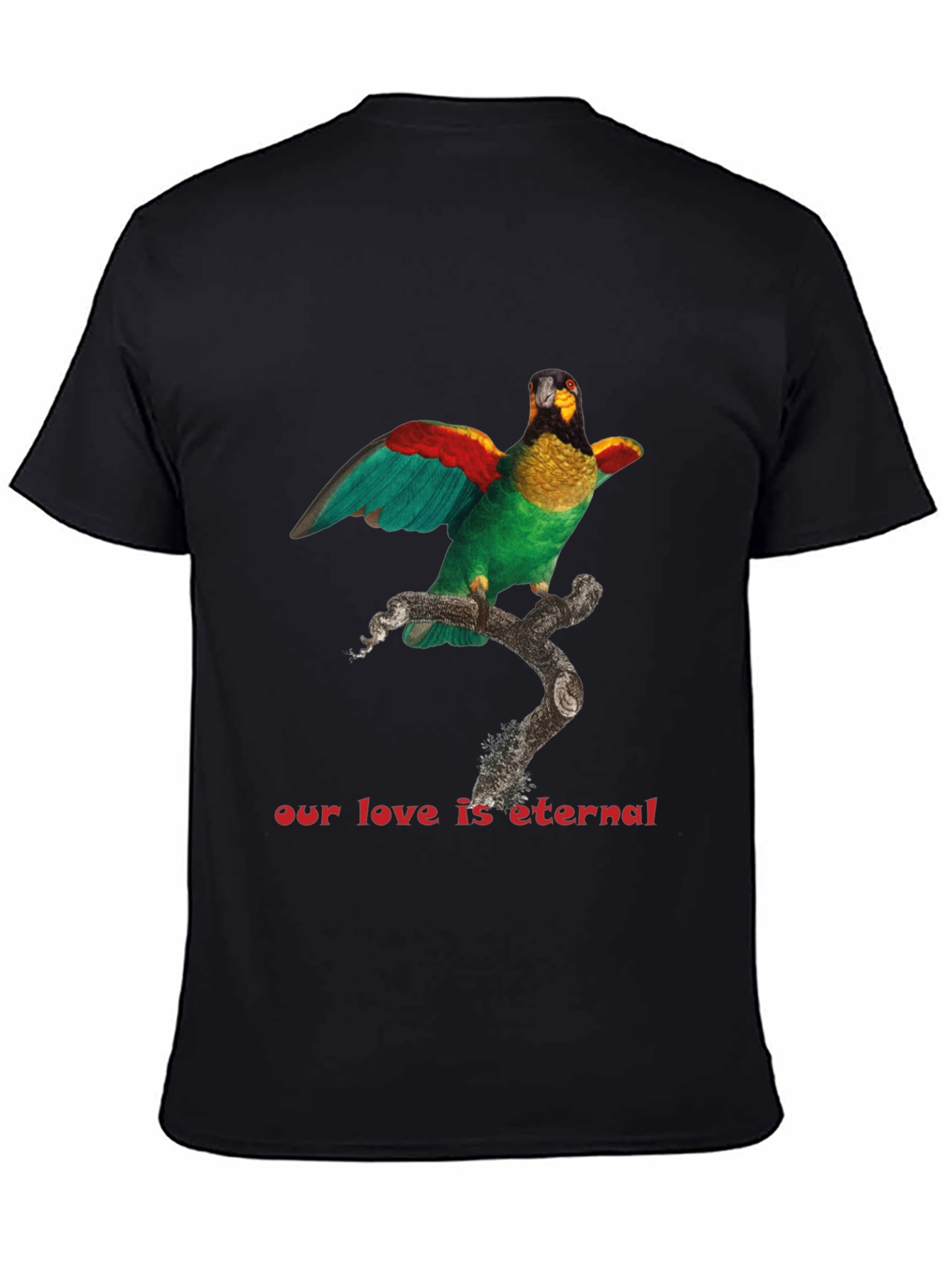 Parrot Graphic T-Shirt: Eternal Love Tee - 4