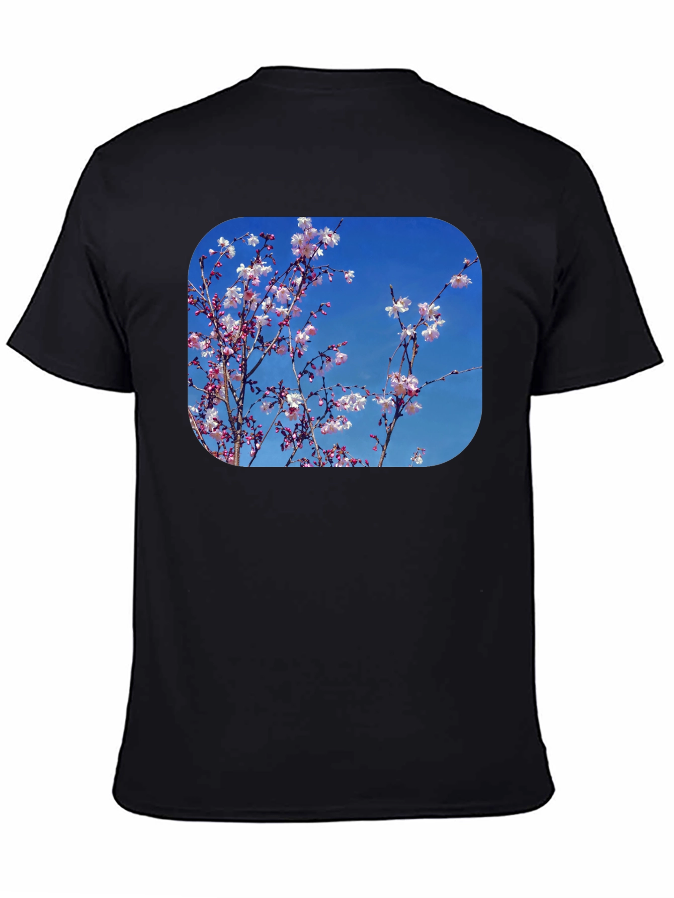 Black Blossom Tee - Black Cotton Blend with Floral Print view 4