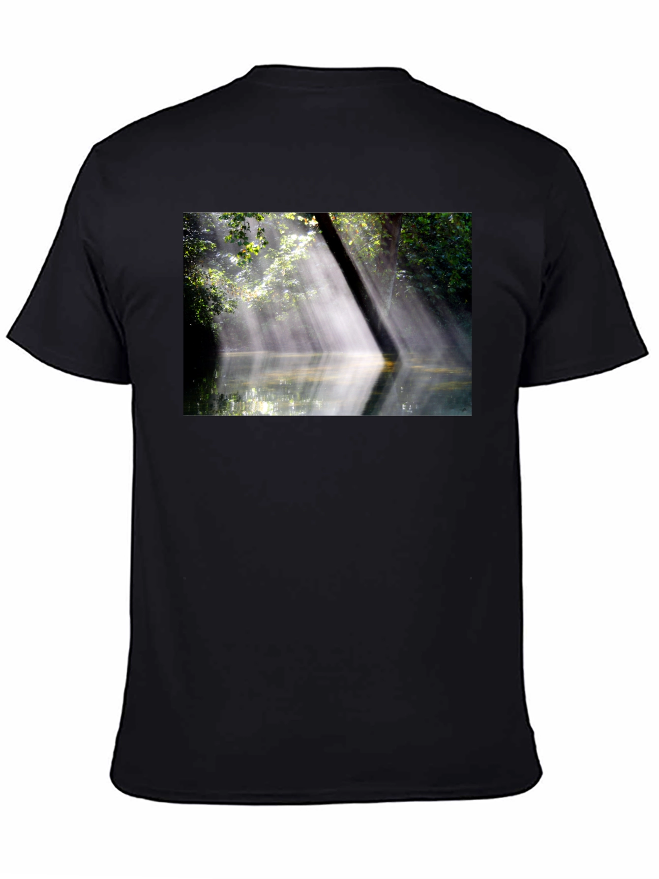 Black Nature's Embrace Tee - Sunlit Forest Design view 4