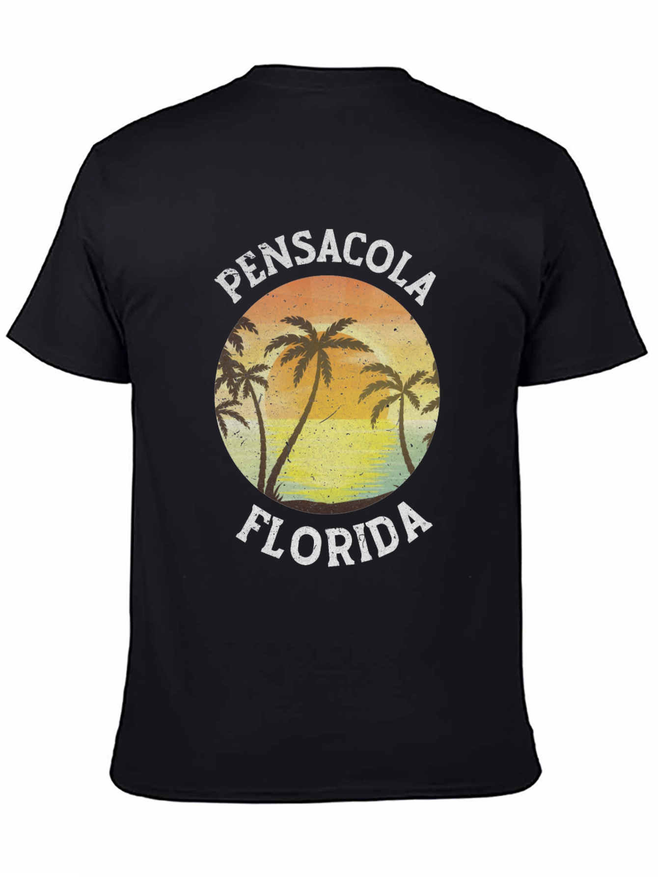 Black Pensacola Florida Graphic T-Shirt view 4