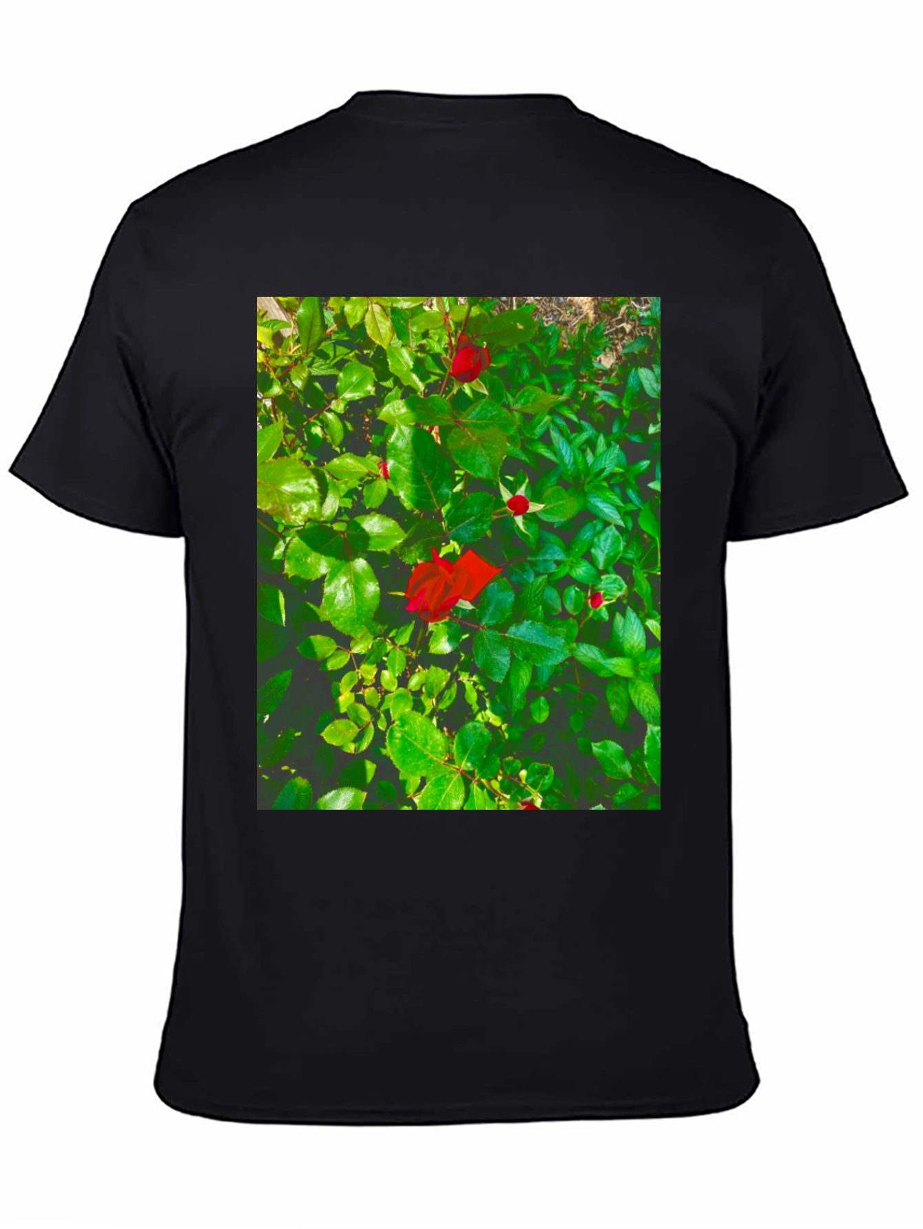 Black Rose Bush Graphic Tee - Nature Inspired Black T-Shirt view 4