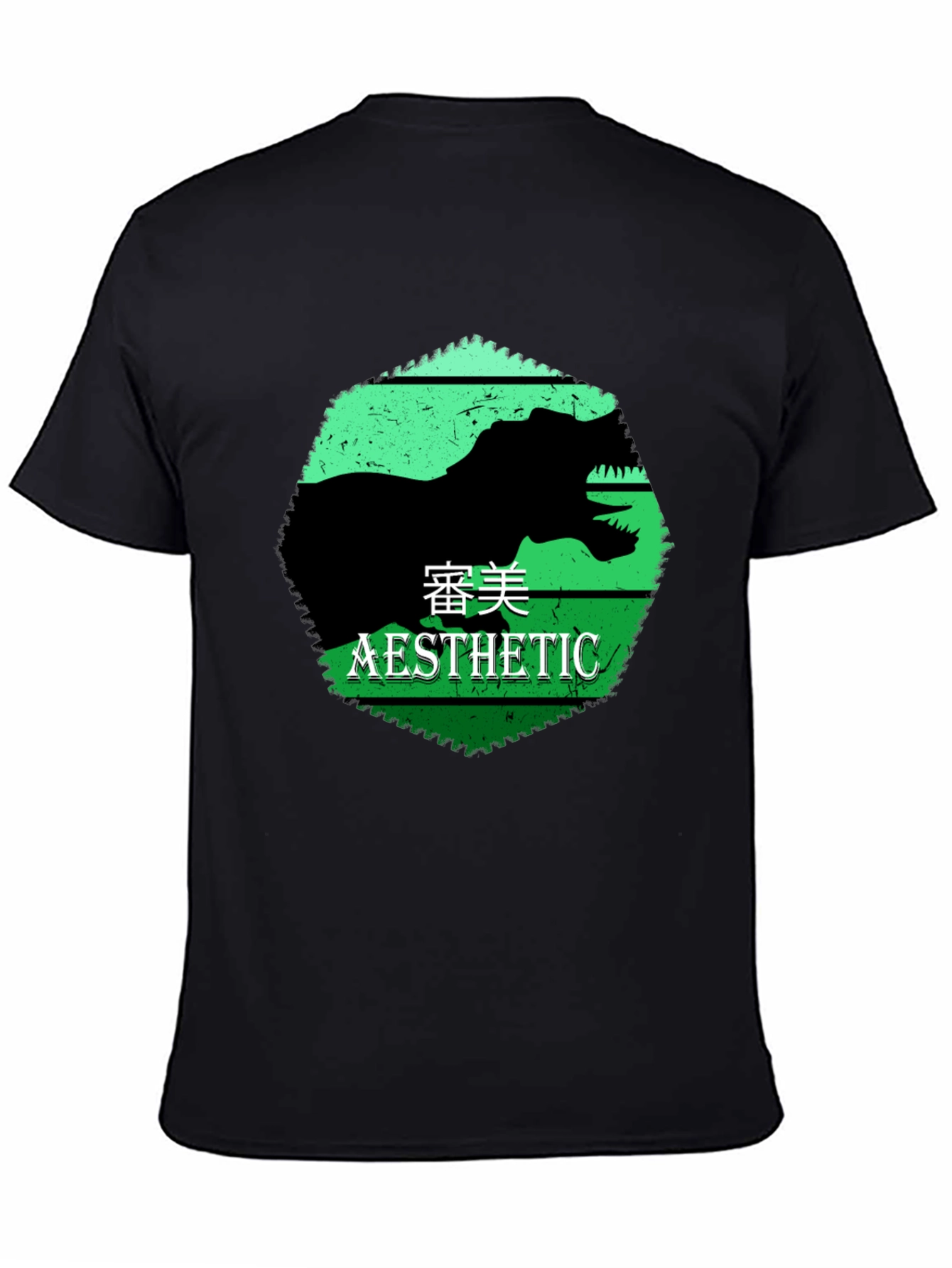 Black Aesthetic Dinosaur Graphic Tee view 4