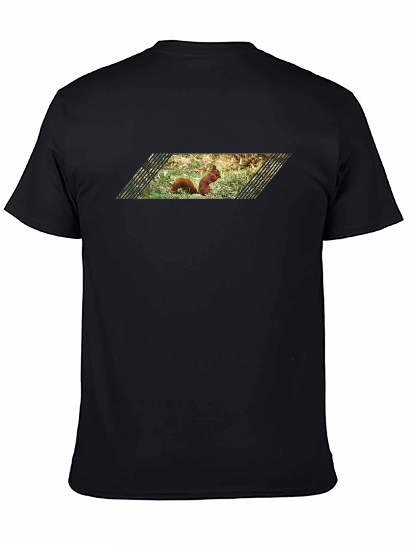Black Squirrel Graphic Tee - Black Cotton T-Shirt view 4