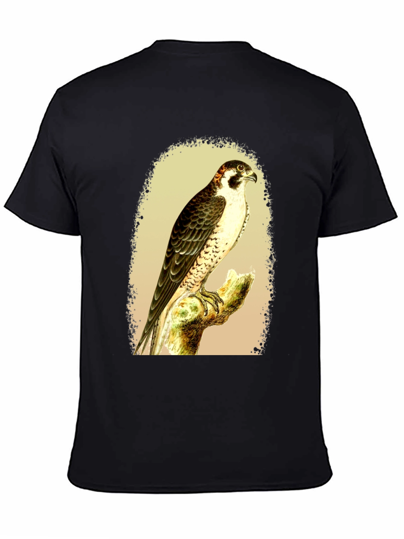 Black Falcon Graphic Tee - Vintage Bird Illustration T-Shirt view 4
