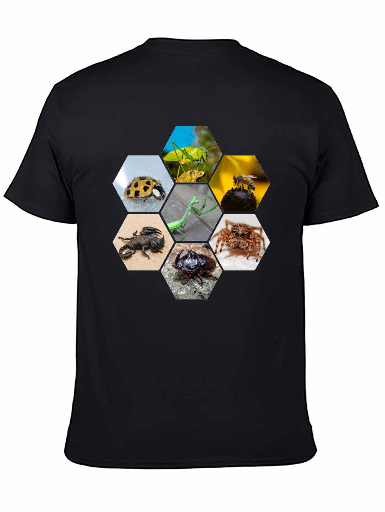 Black Insect Hexagon T-Shirt - Unique Nature Design view 4