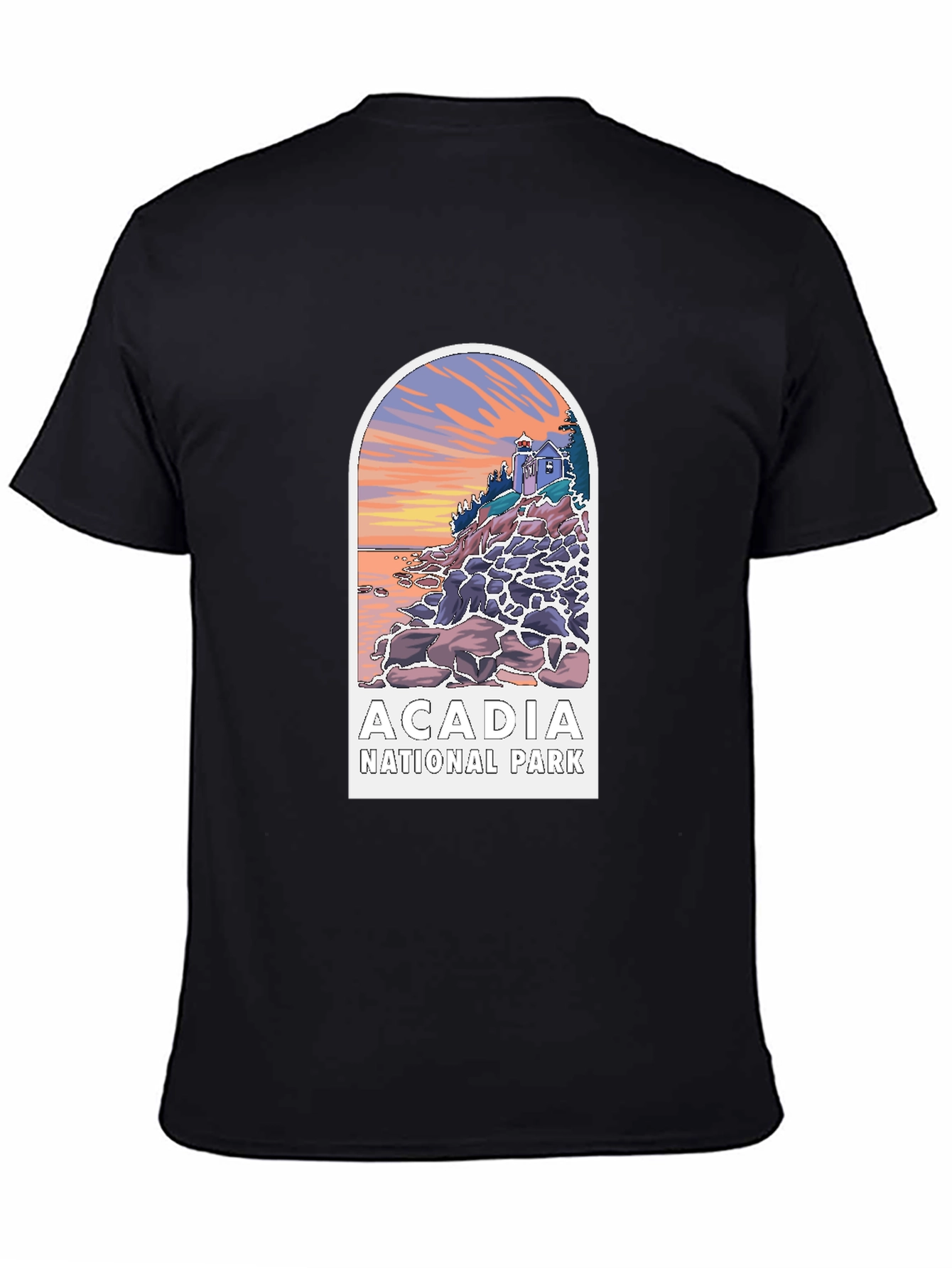 Black Acadia National Park Graphic Tee - Black view 4