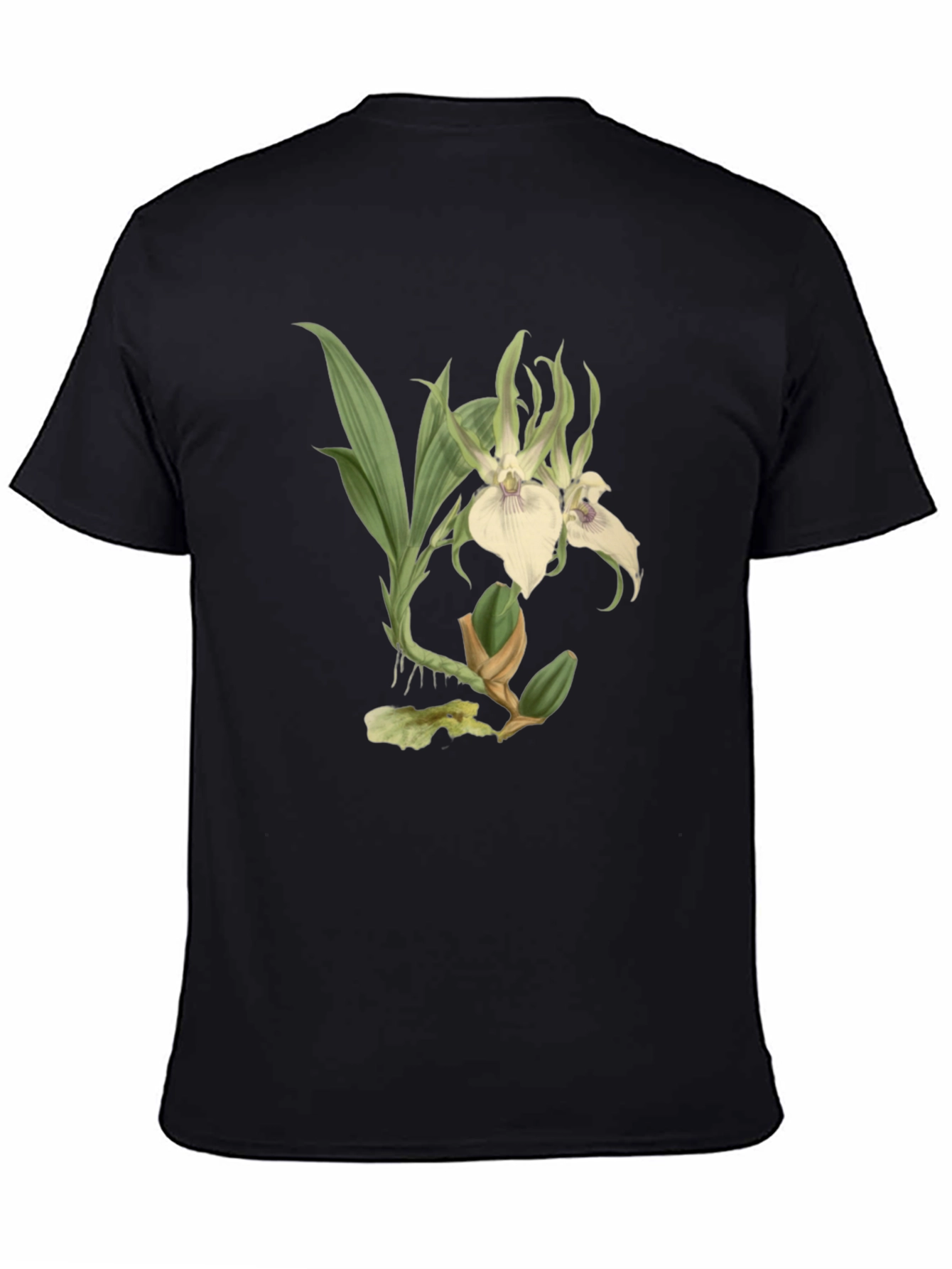 Black Botanical Orchid Graphic Tee - Black Cotton Blend view 4