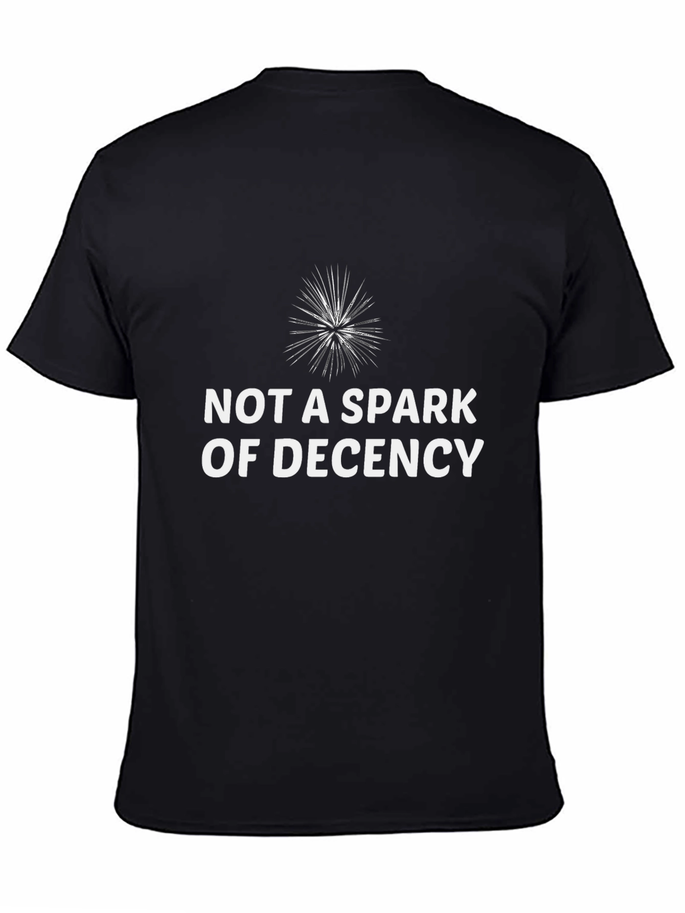 Black Spark of Decency Graphic Tee - Bold Humor T-Shirt view 4
