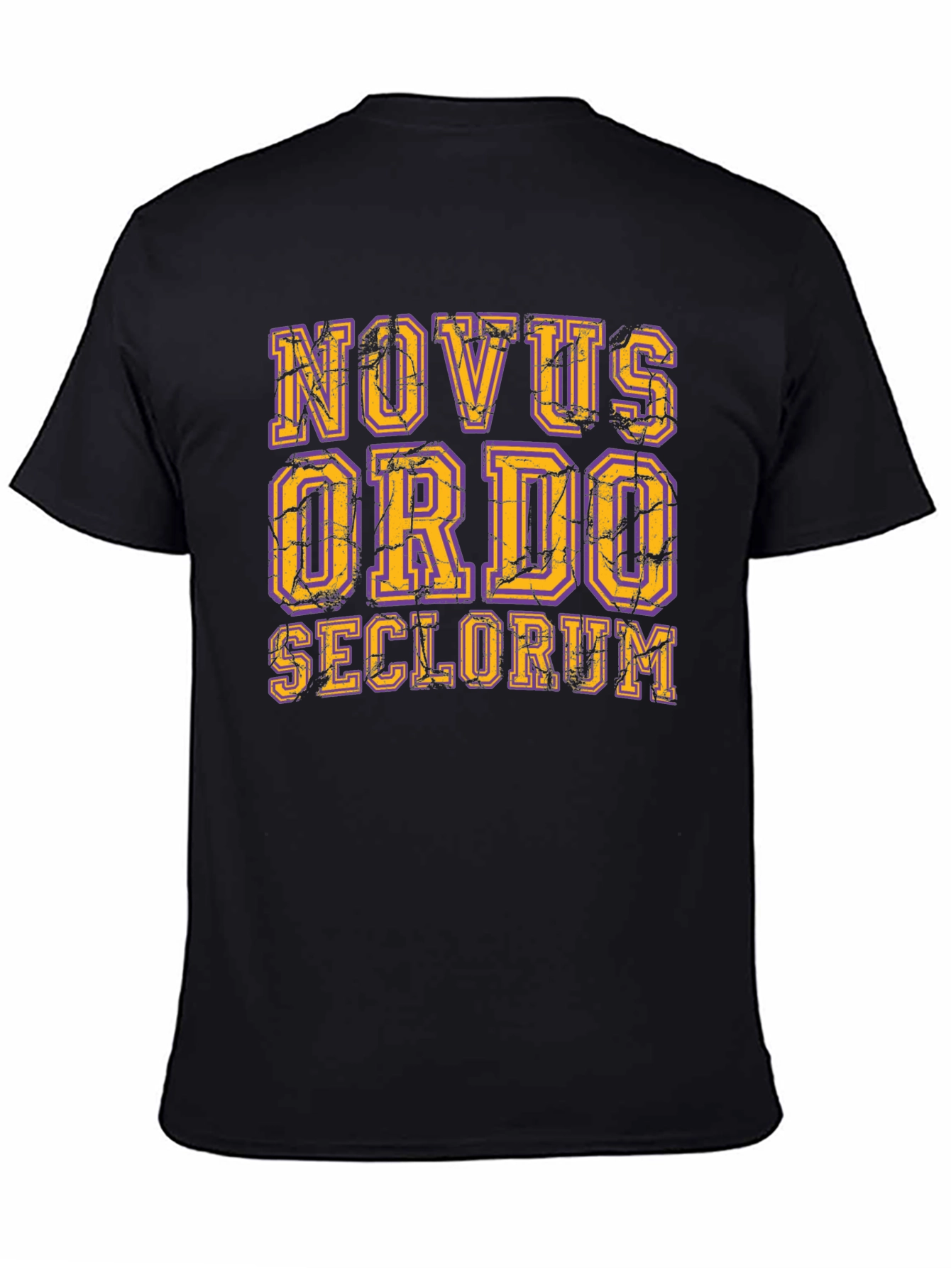 Black Novus Ordo Seclorum Graphic Tee view 4