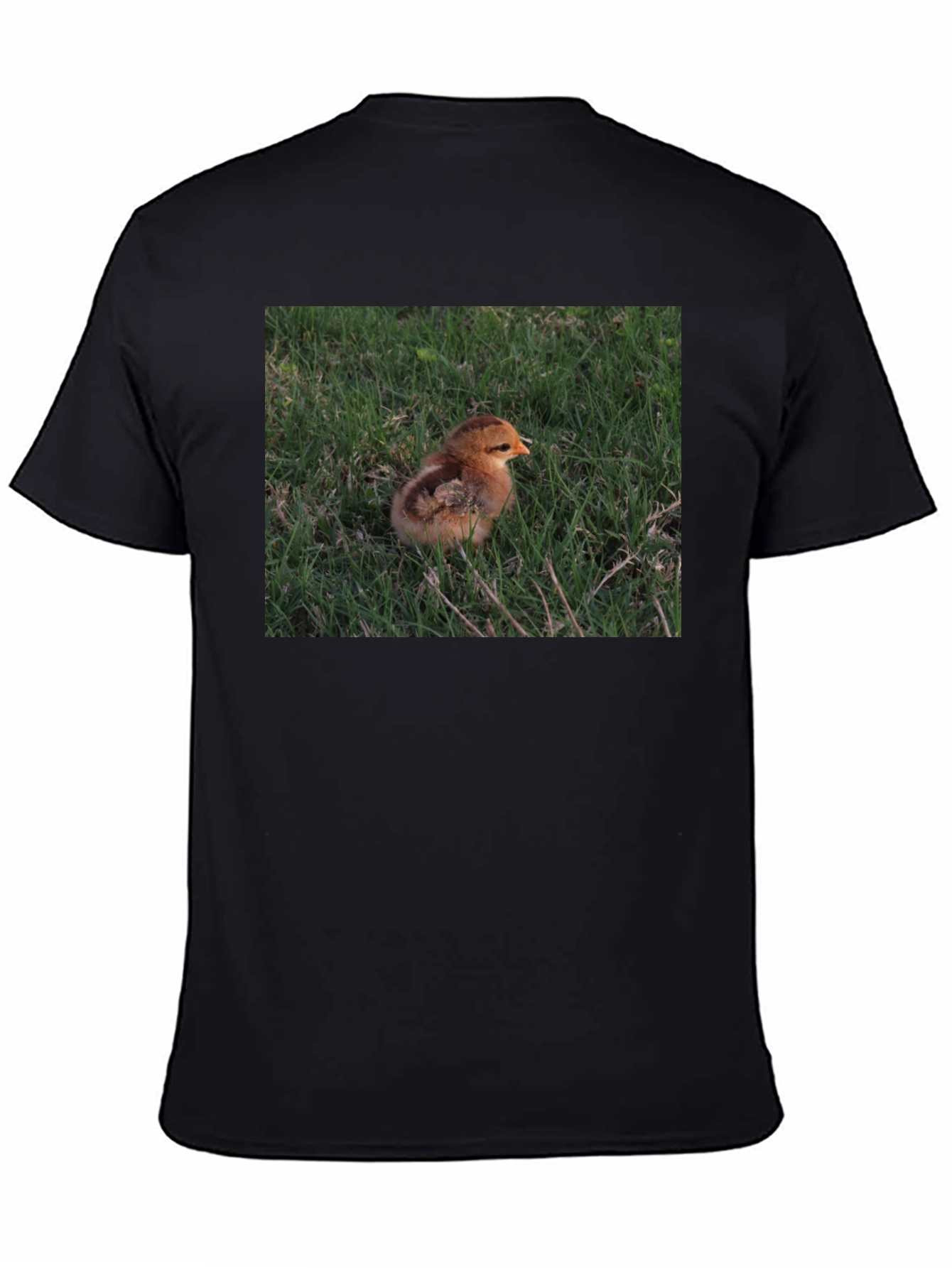 Black Cute Chick in Grass Graphic T-Shirt view 4