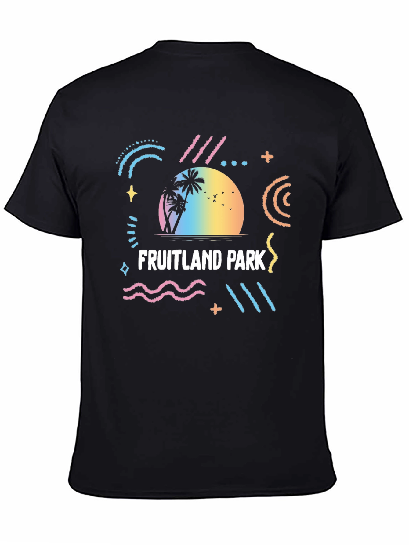 Black Fruitland Park Retro Graphic T-Shirt view 4