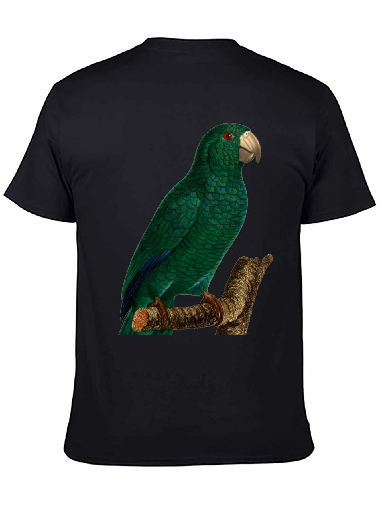 Black Green Parrot Graphic Tee - Nature Lover's Apparel view 4
