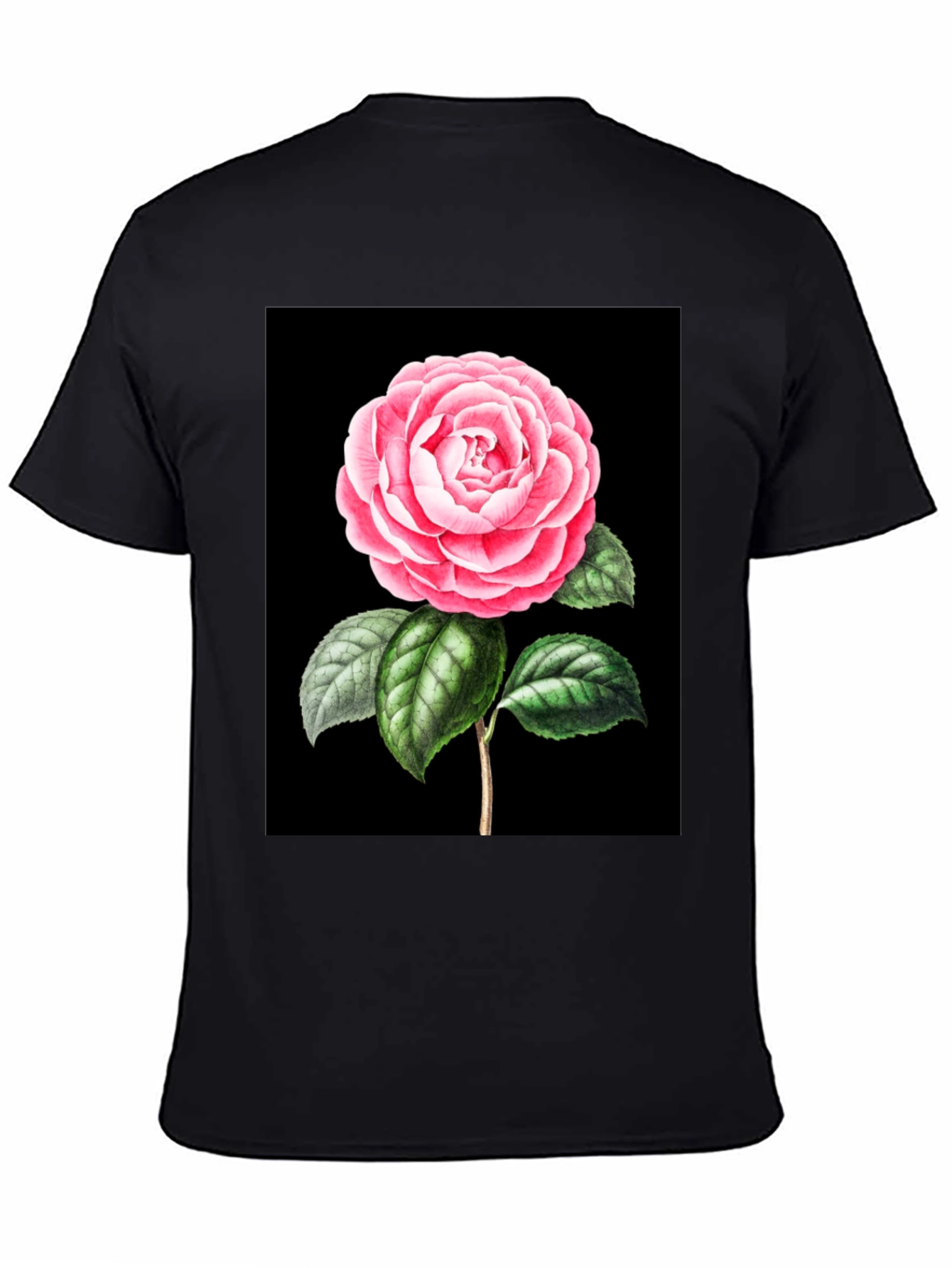 Black Elegant Rose Graphic Tee - Black Cotton Blend view 4