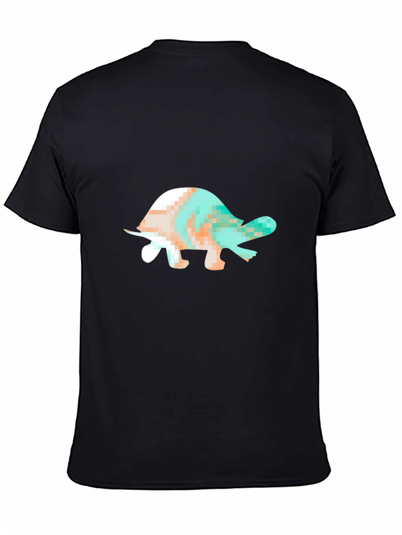 Black Turtle Graphic Black T-Shirt view 4