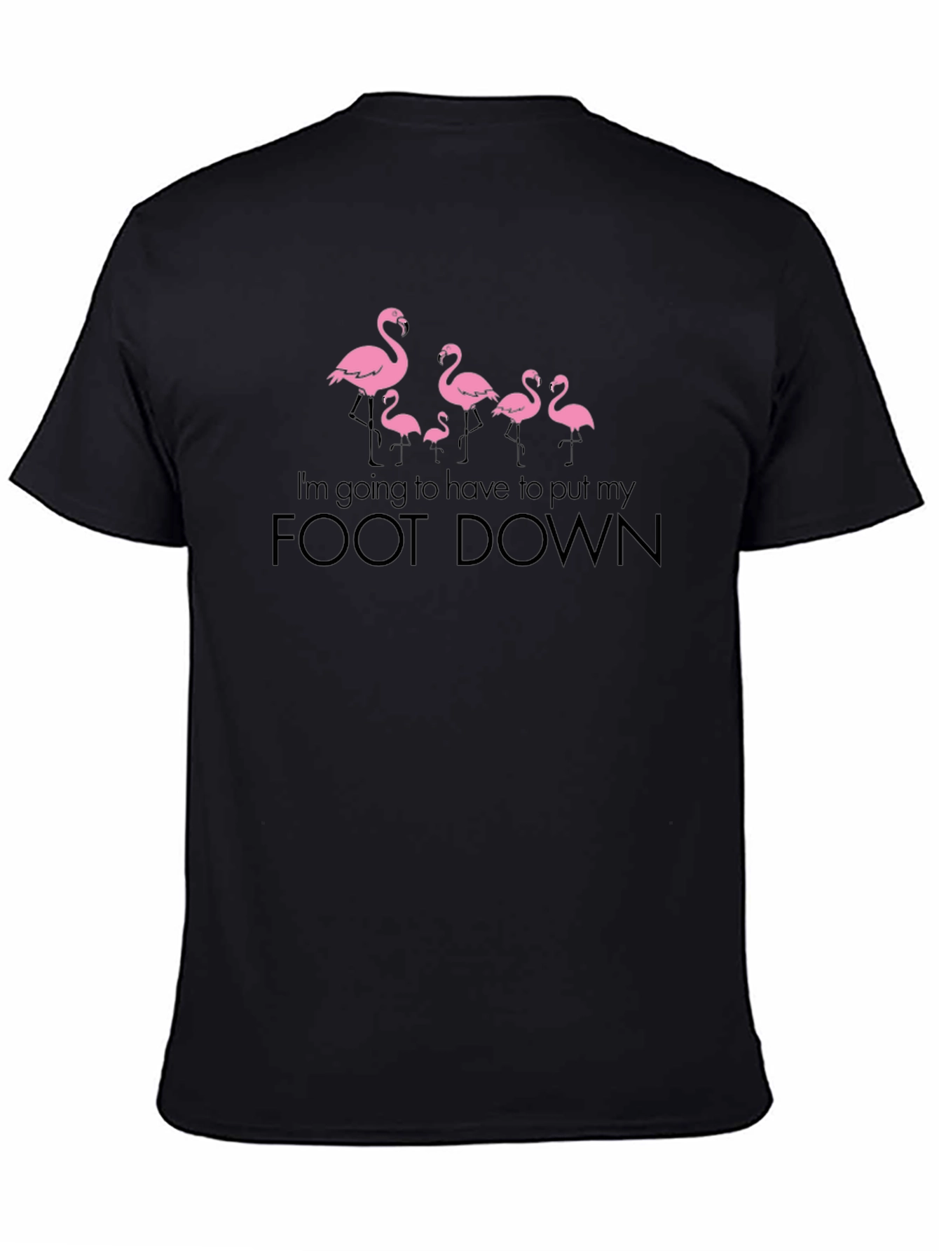 Black Funny Flamingo "Foot Down" Graphic T-Shirt view 4