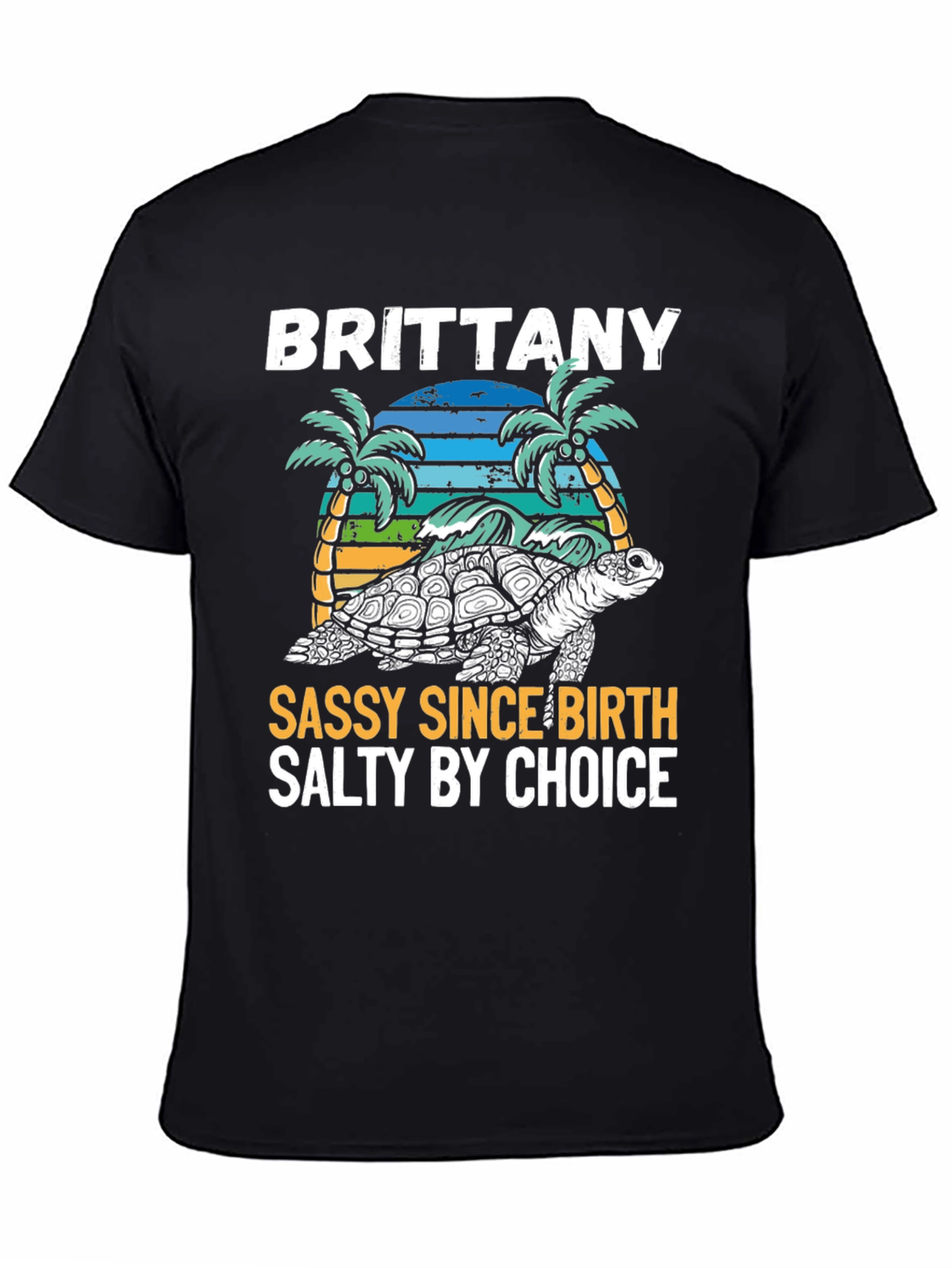 Brittany Turtle Sassy & Salty Graphic Tee - 4