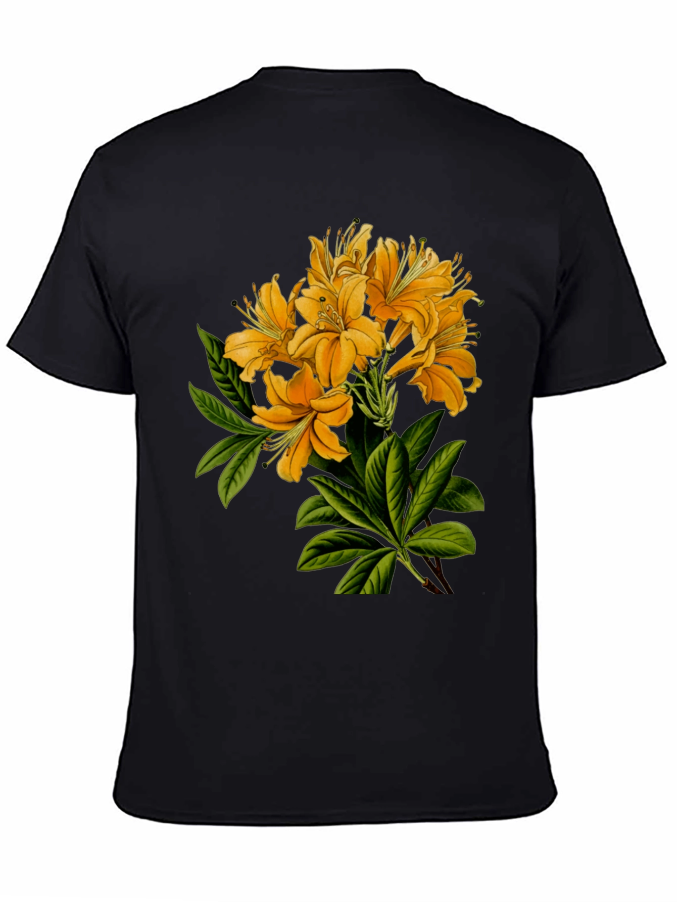 Black Floral Print Crew Neck T-Shirt view 4