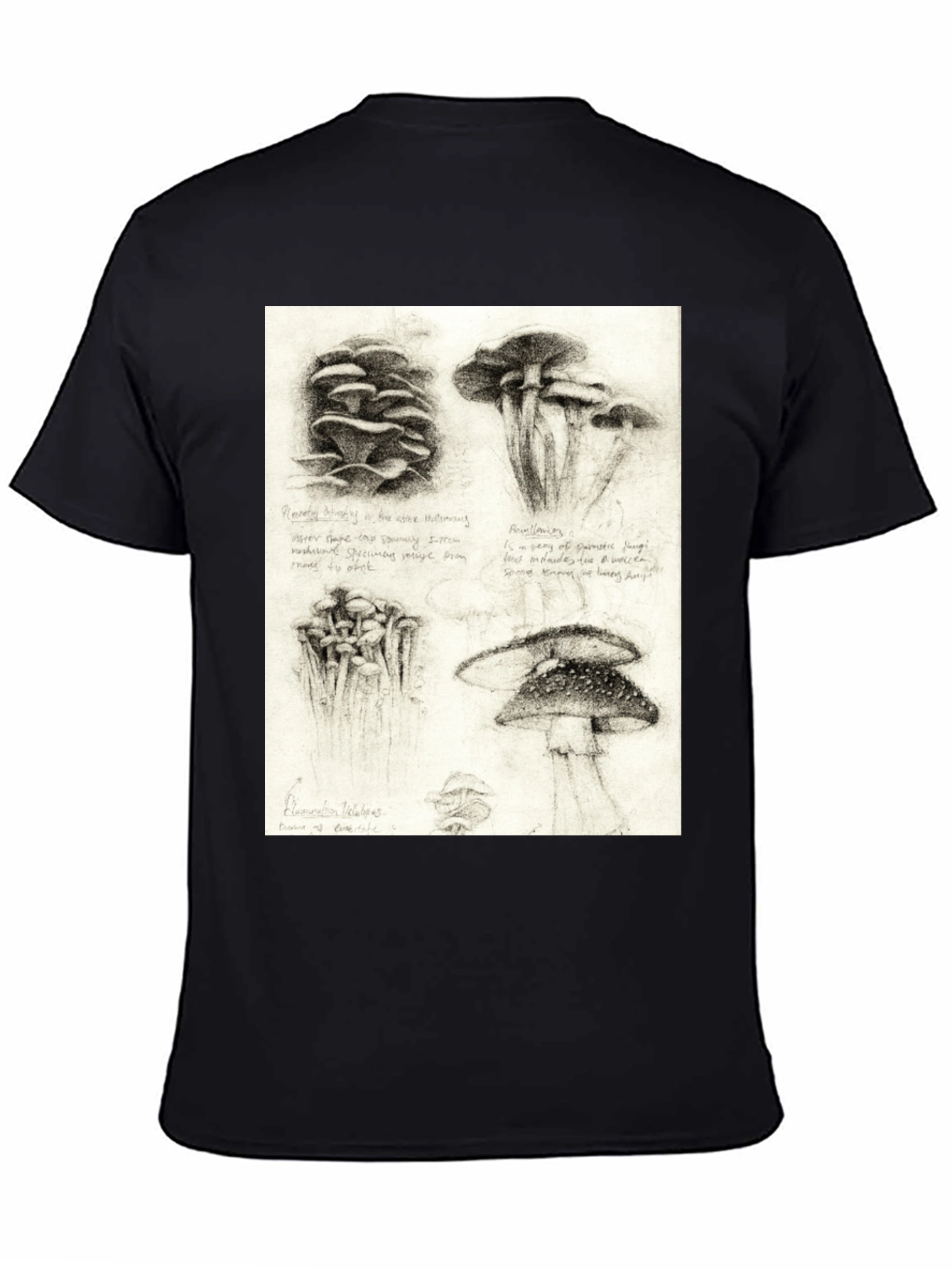 Black Mushroom Sketch Art T-Shirt - Nature Inspired Tee view 4