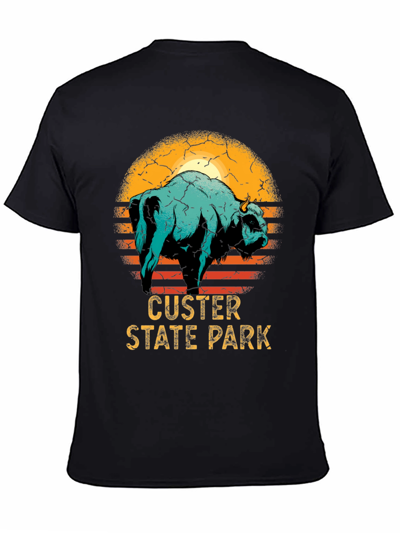 Black Custer State Park Bison Graphic T-Shirt view 4