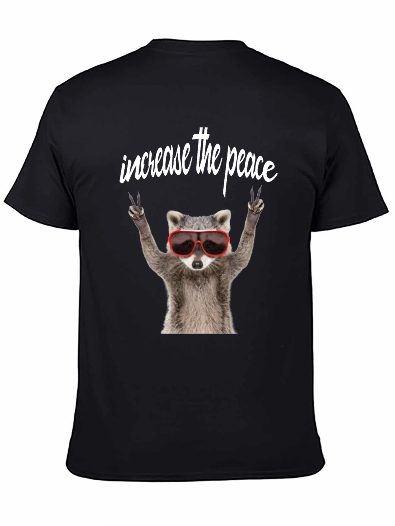 Black Peaceful Raccoon Graphic Tee view 4